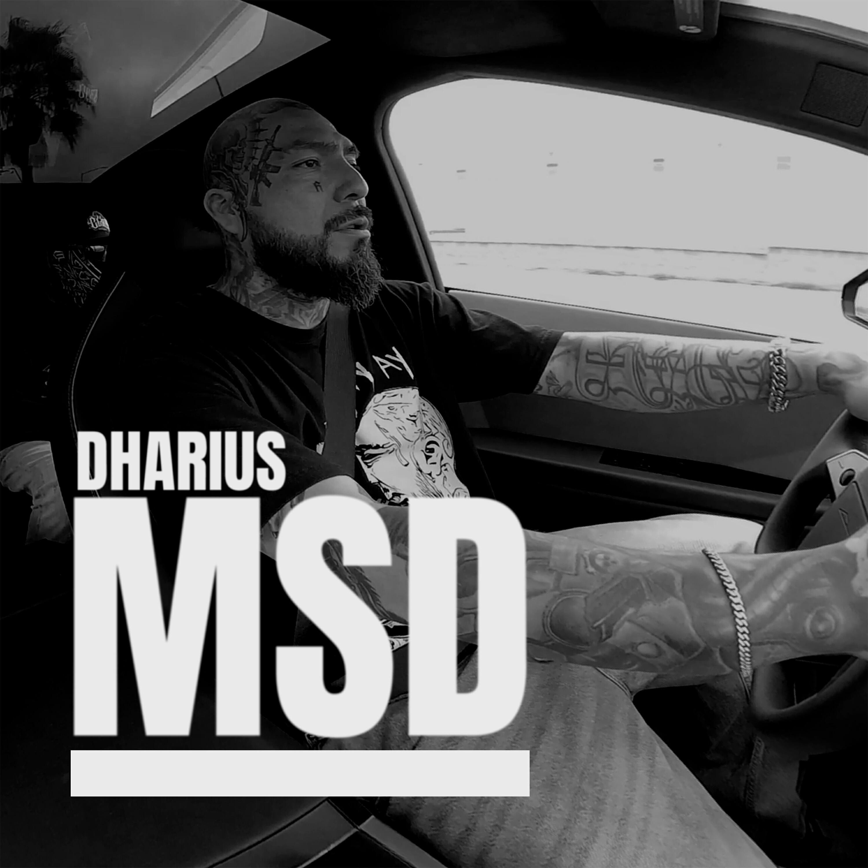 Релиз MSD