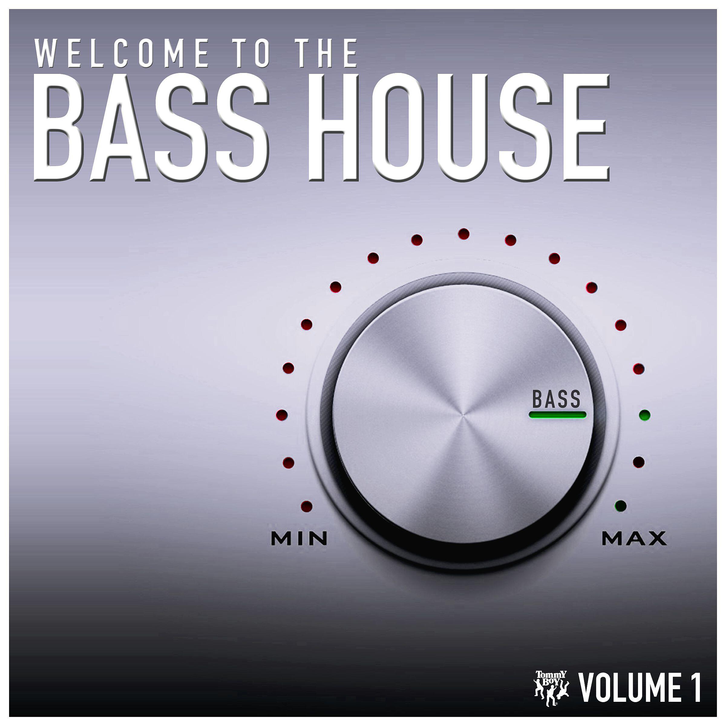 Релиз Welcome to the Bass House