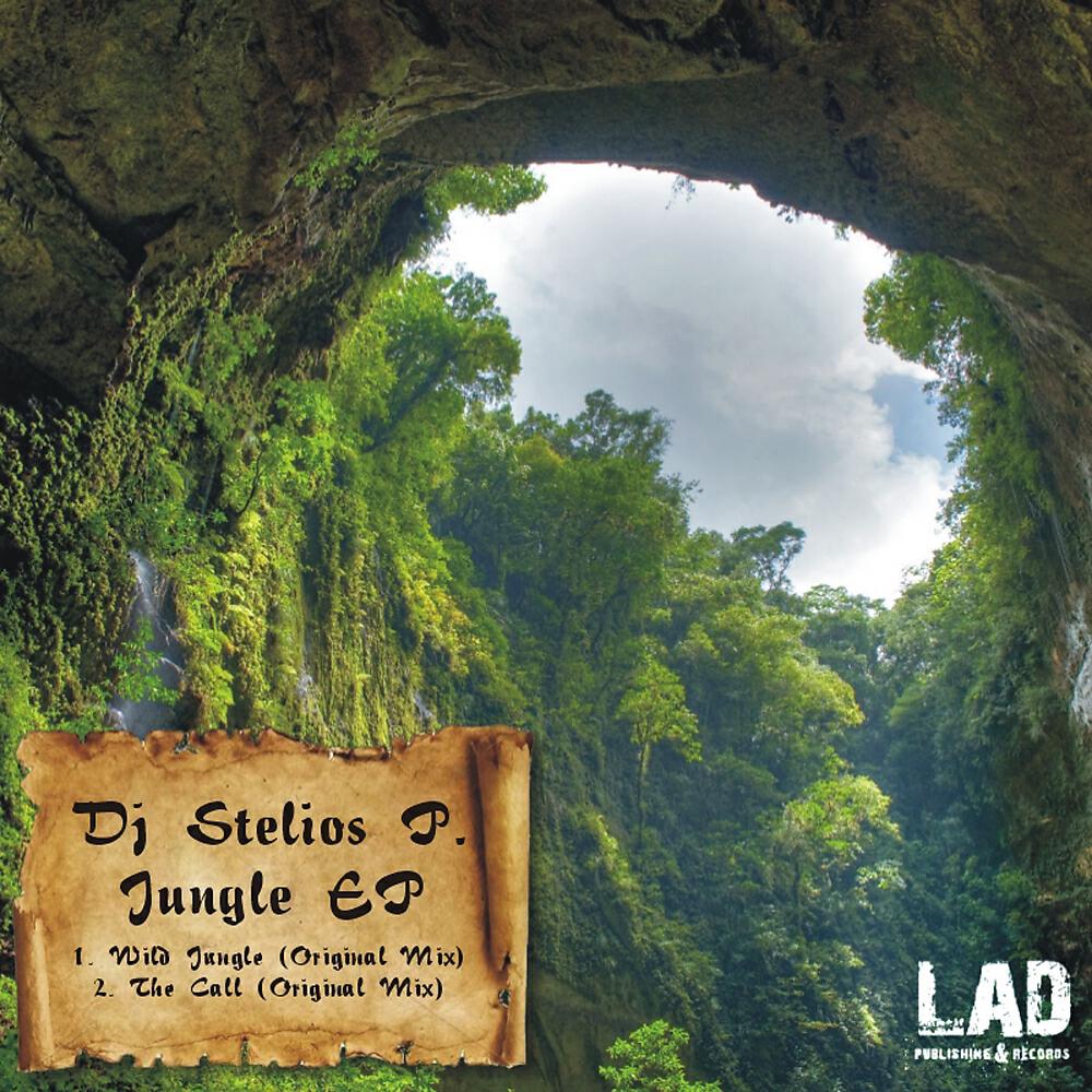 Релиз Jungle