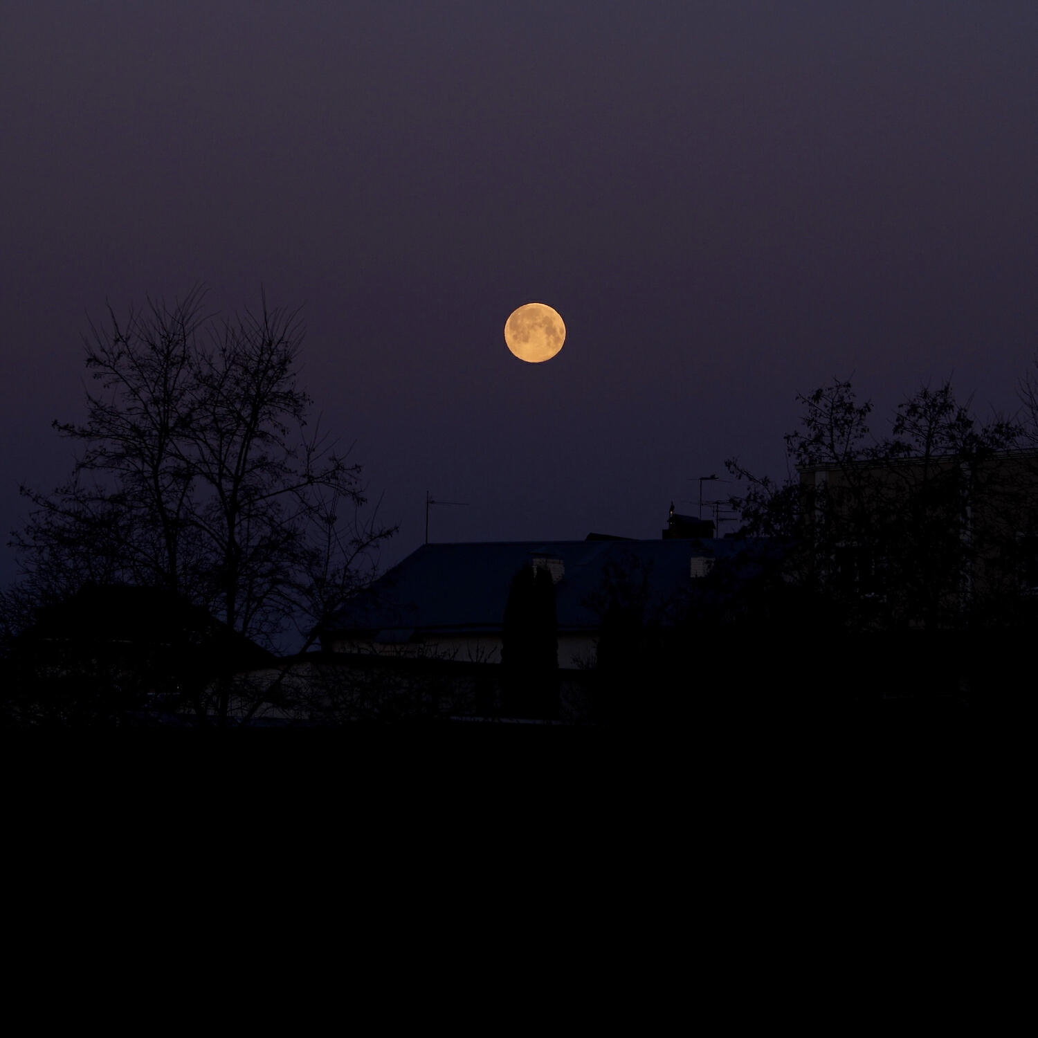 Релиз Moon Over The Roof