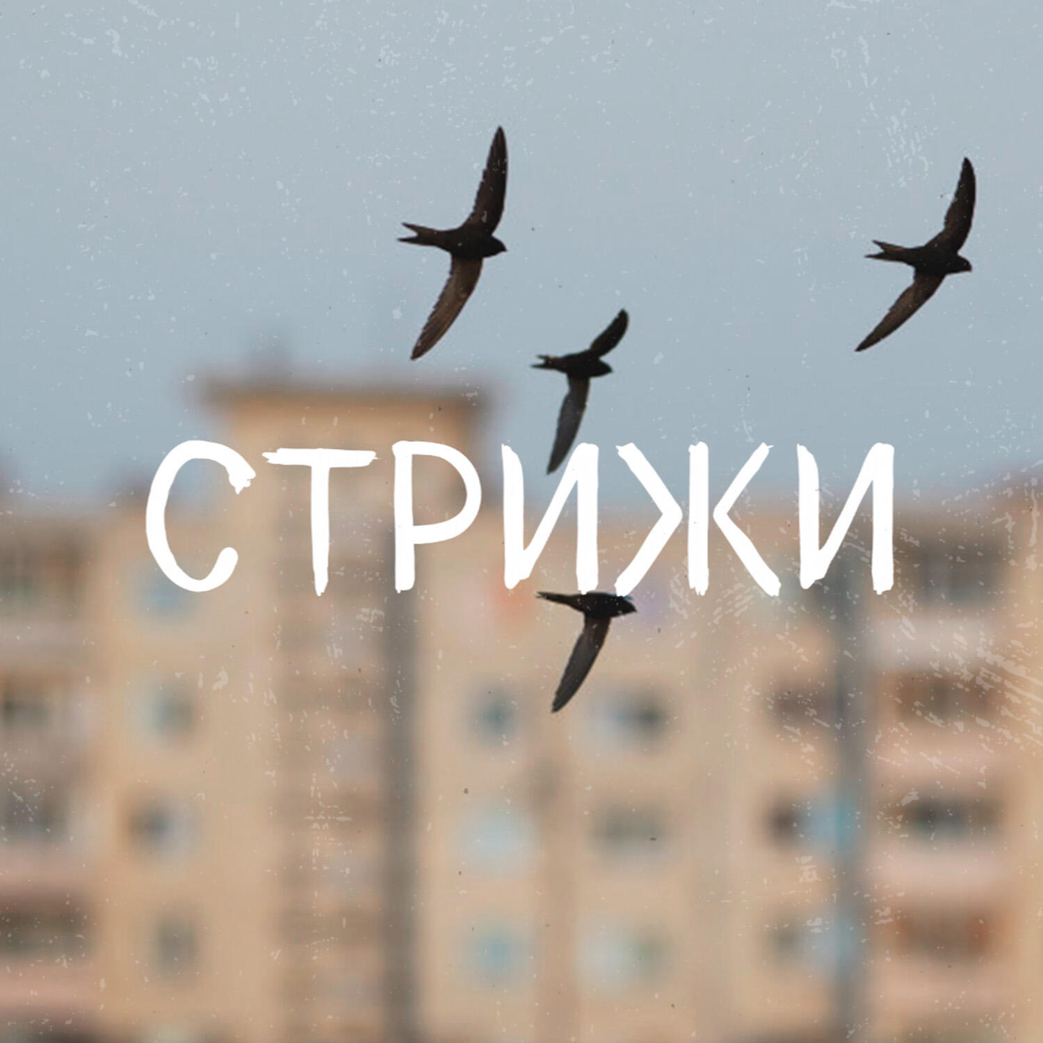 Ука Бардуи