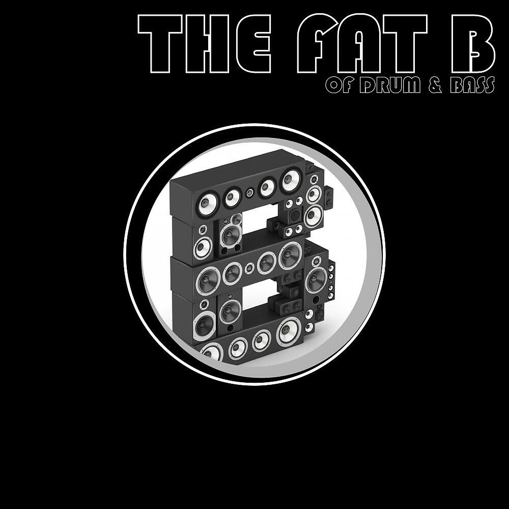 Релиз The Fat B of Drum & Bass