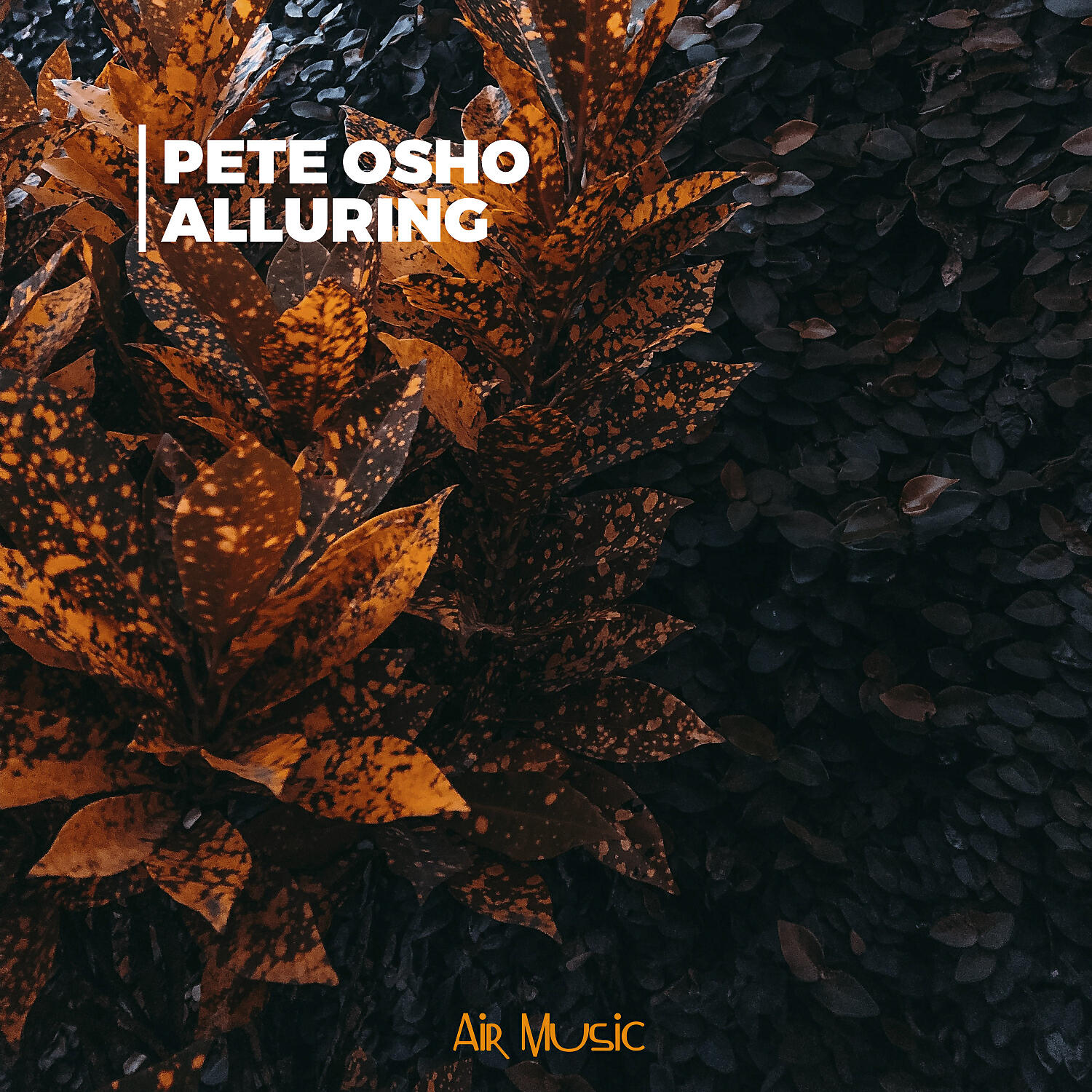 Постер альбома Alluring