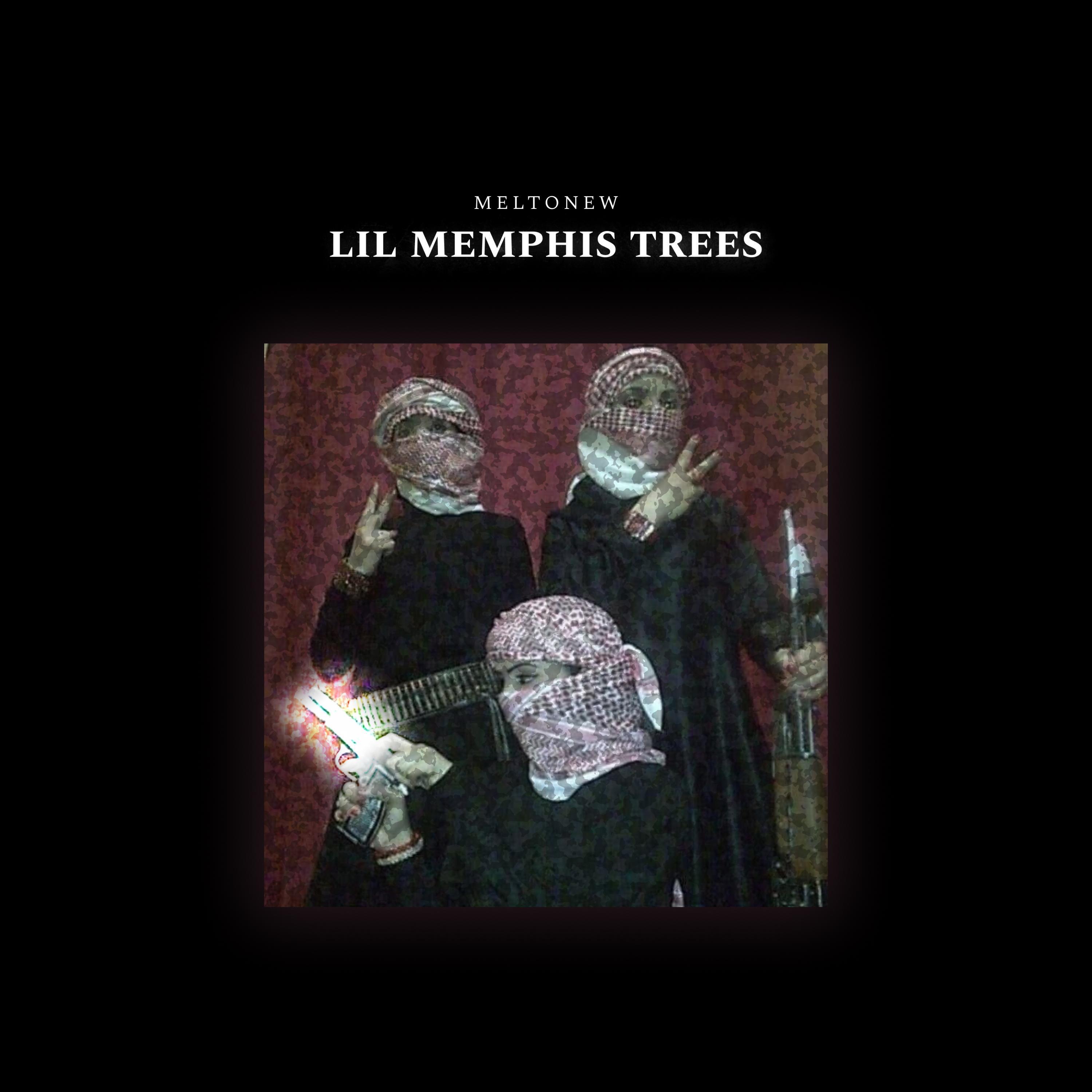 Релиз LIL MEMPHIS TREES