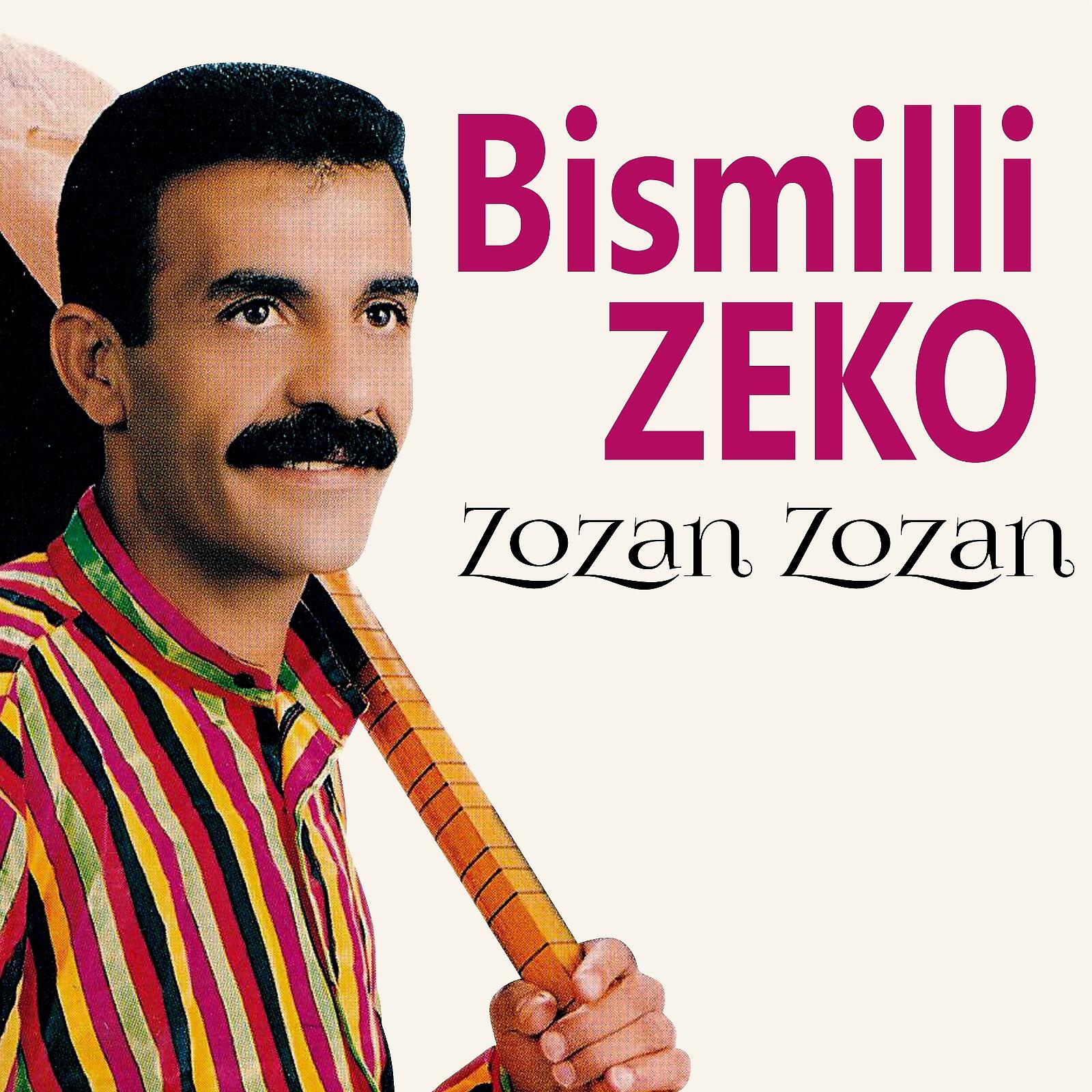 Релиз Zozan Zozan