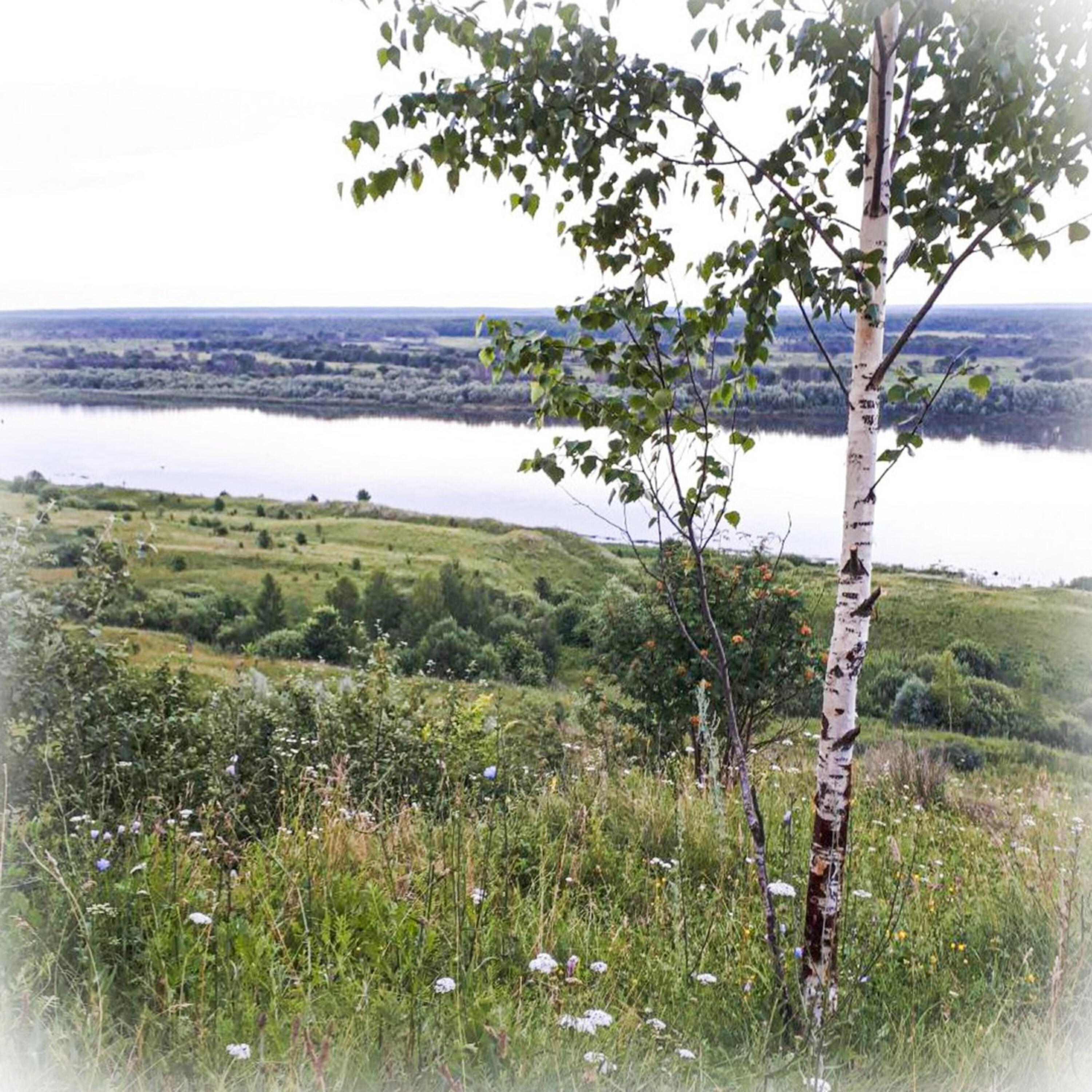 Релиз Карагод
