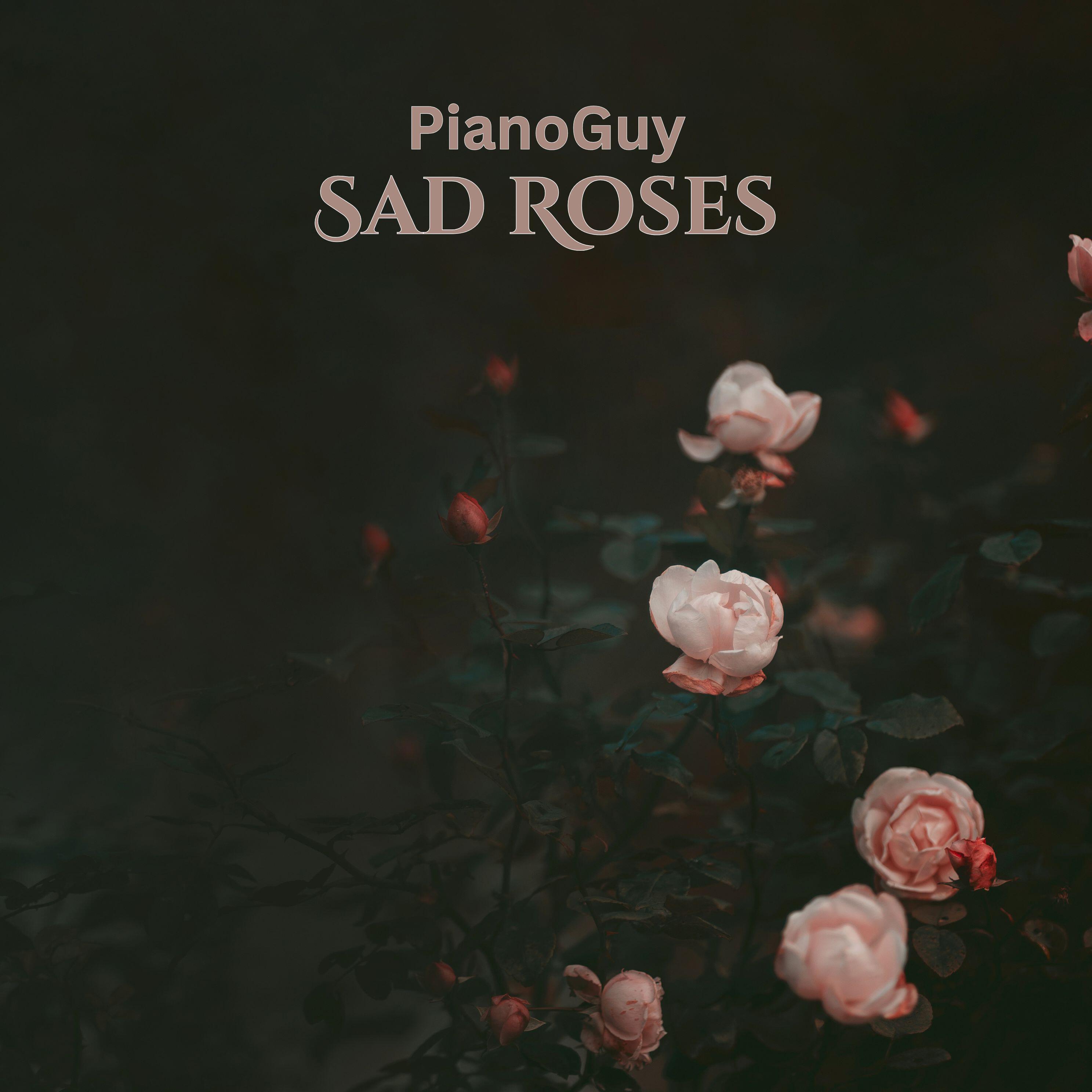 Релиз Sad Roses