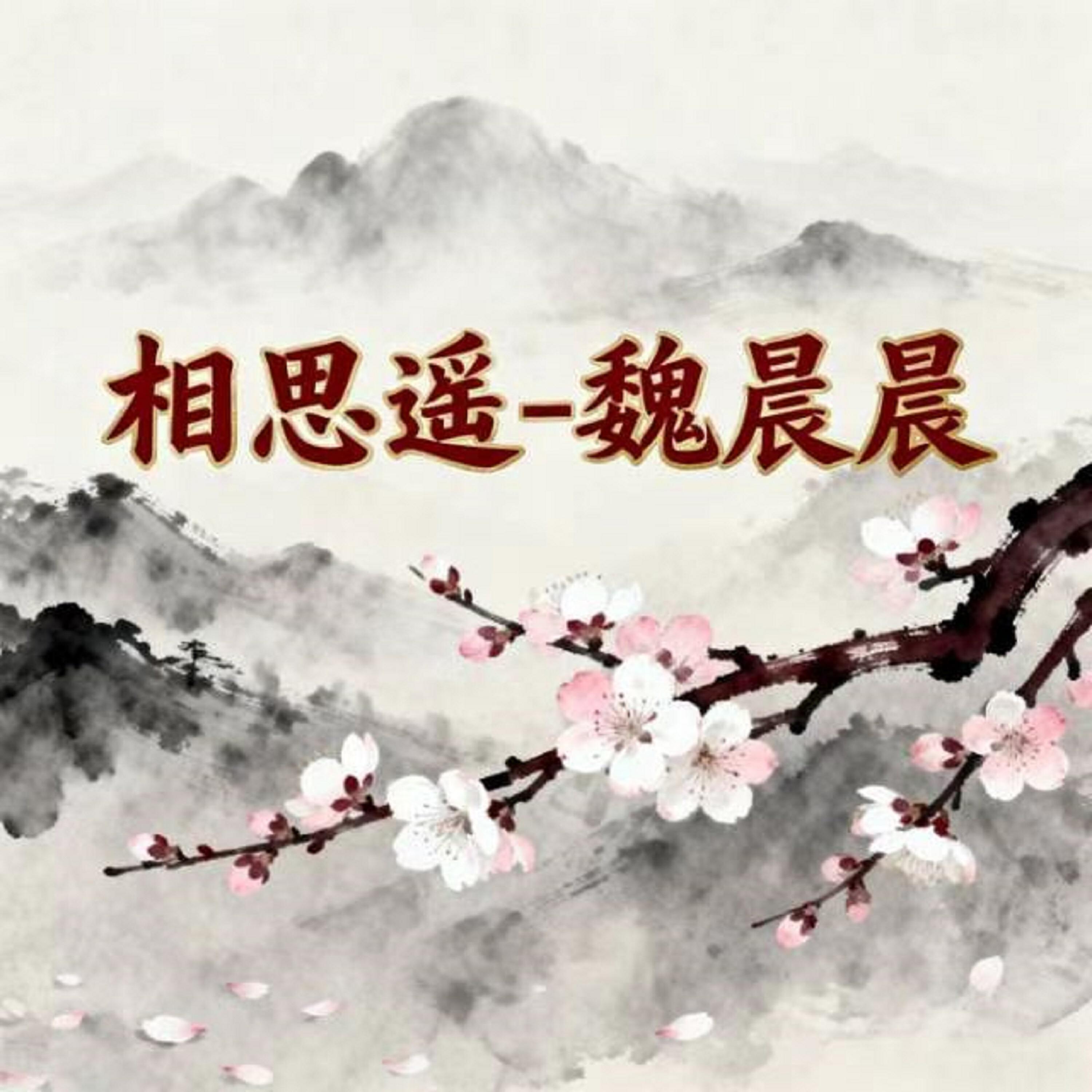 魏晨晨