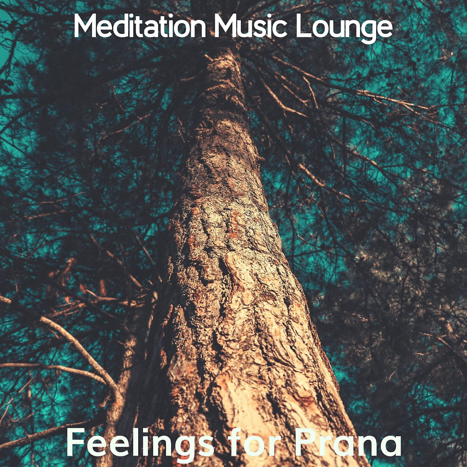 Релиз Feelings for Prana
