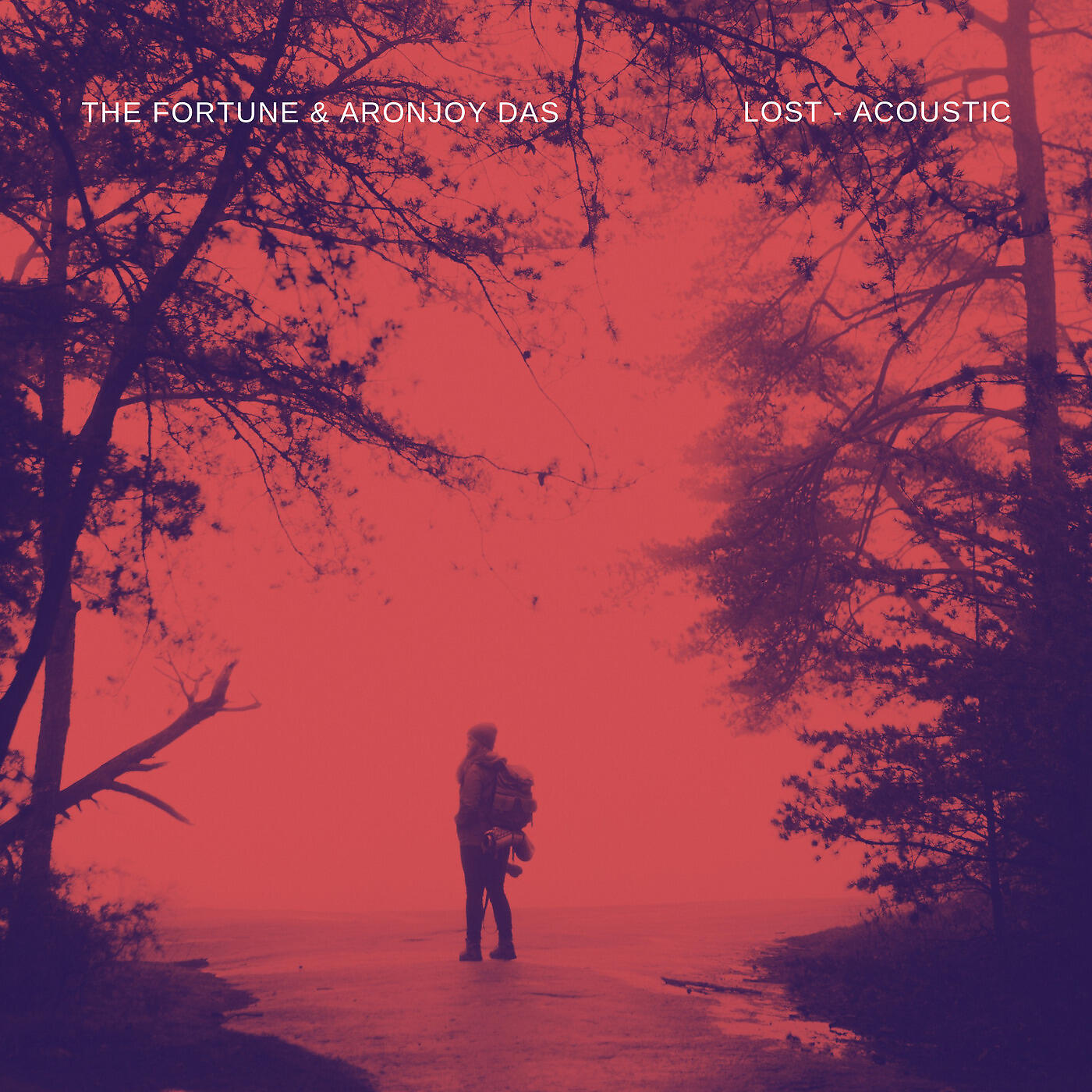 Релиз Lost (Acoustic)