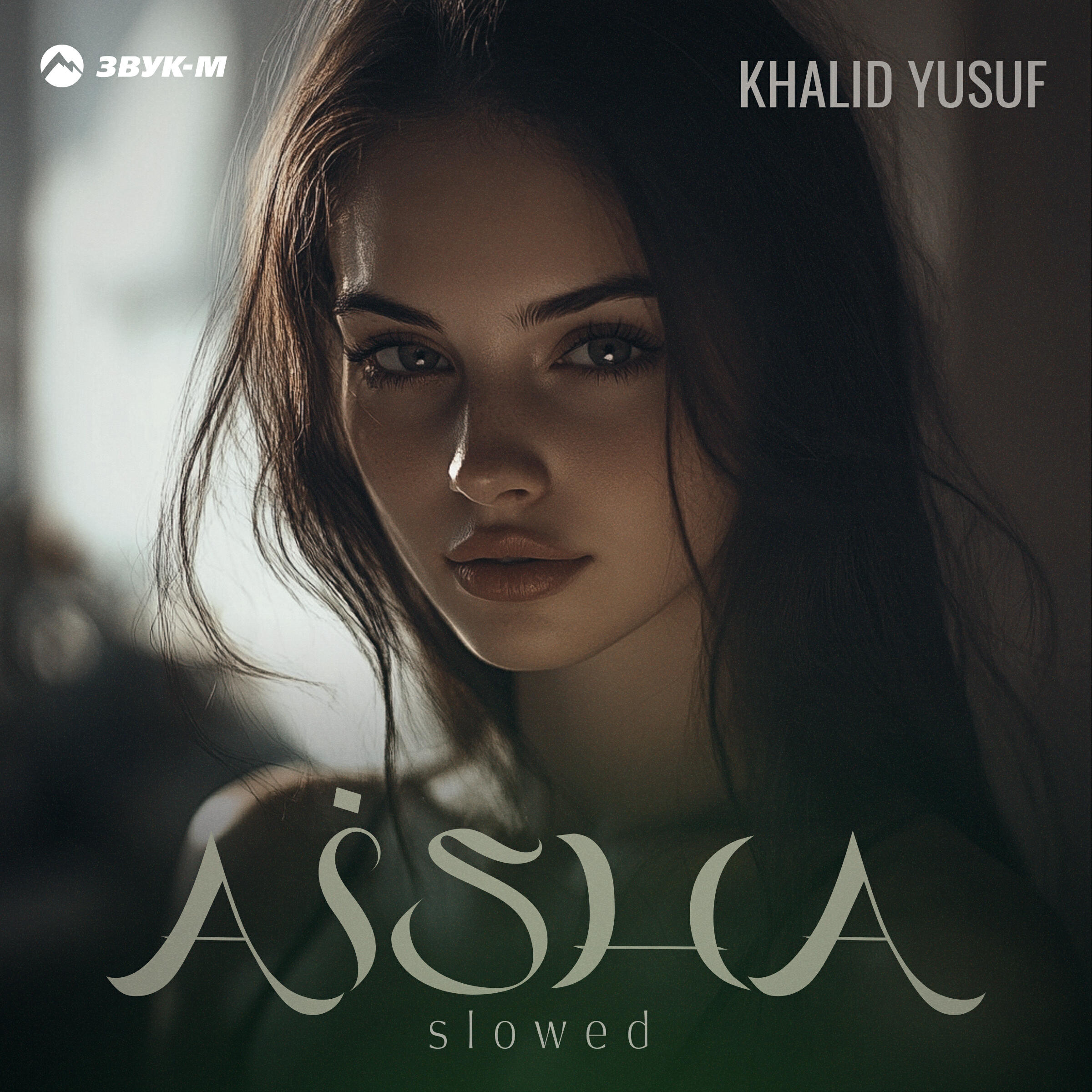 Релиз Aisha (Slowed)