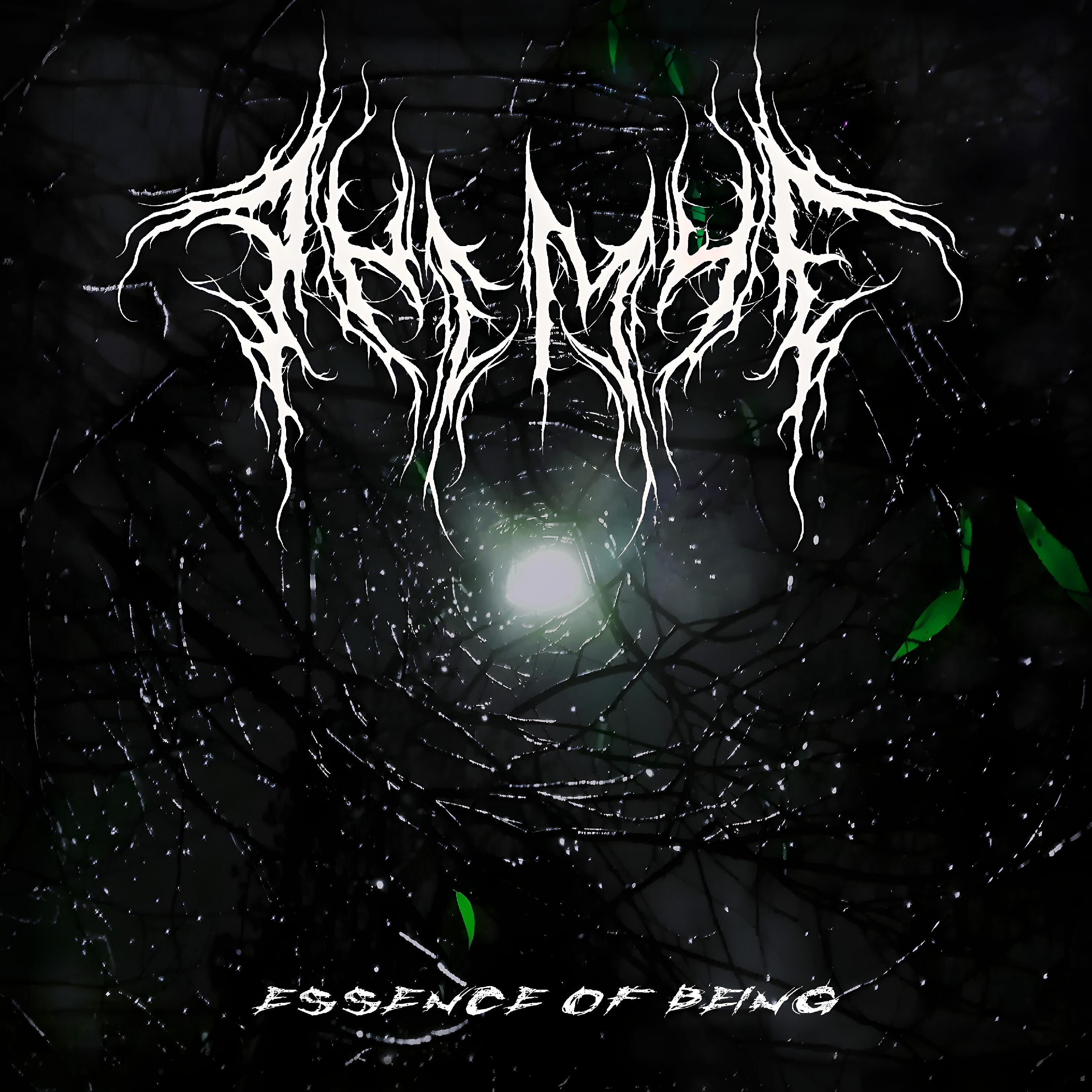 Постер альбома Essence of being