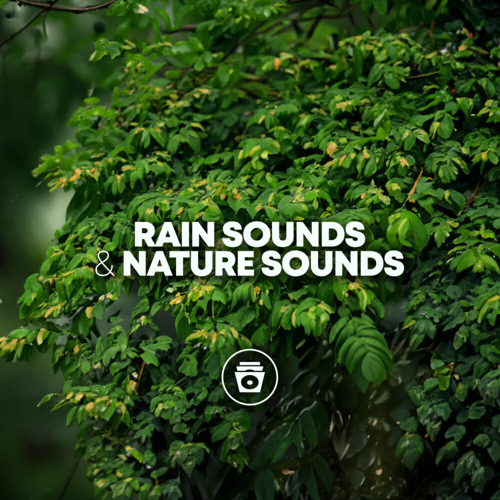 Релиз Rain Sounds & Nature Sounds