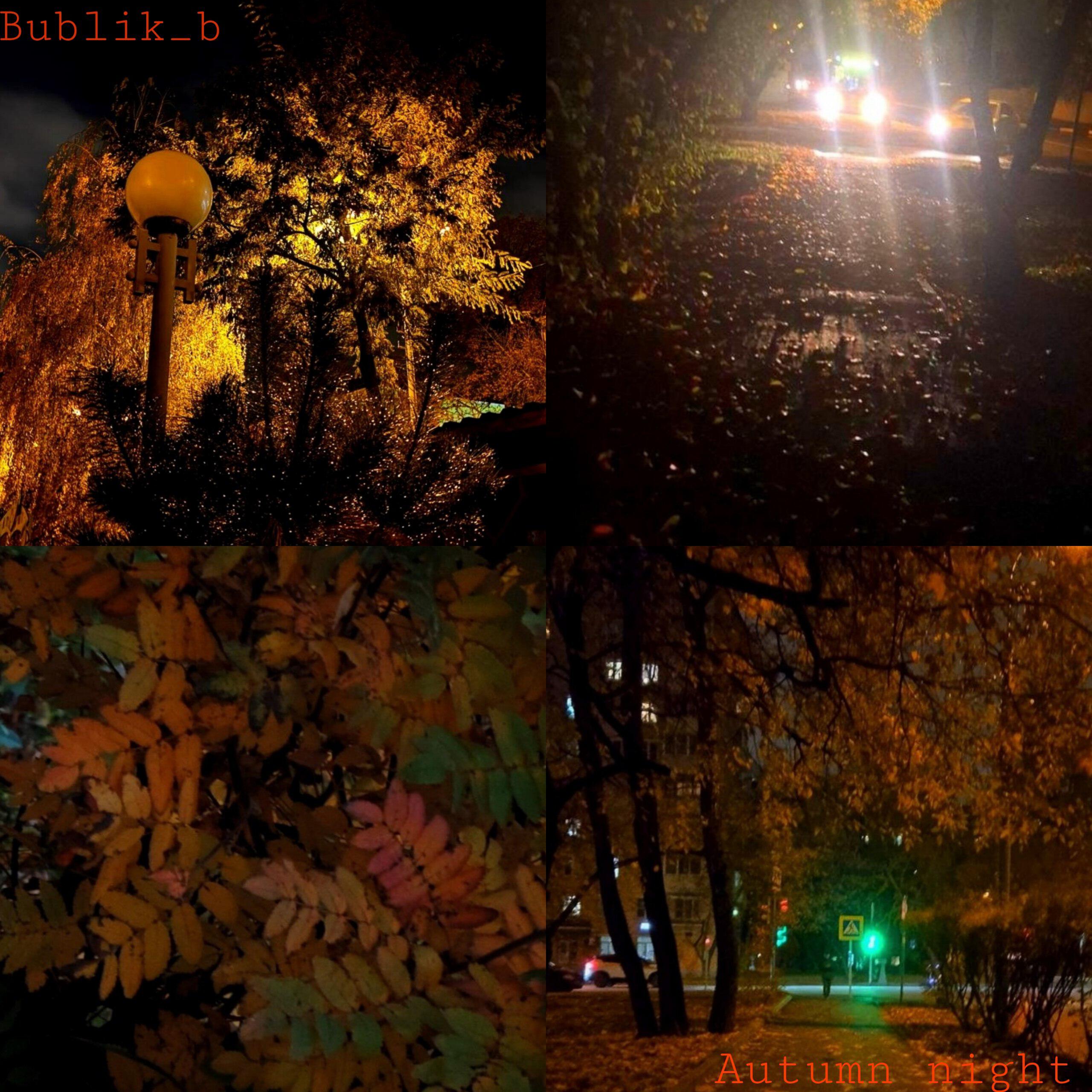 Bublik_b