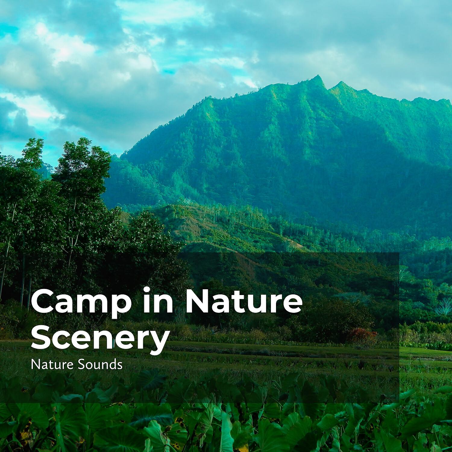 Релиз Camp in Nature Scenery