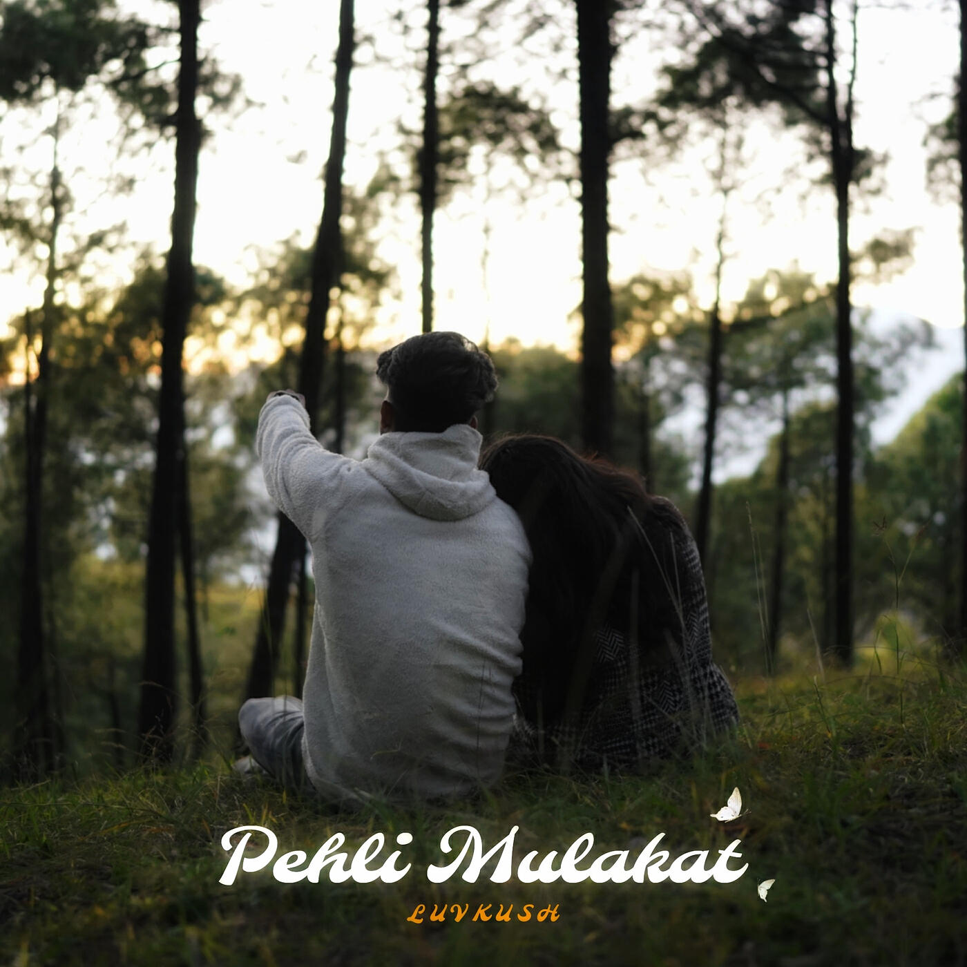 Релиз Pehli Mulakat