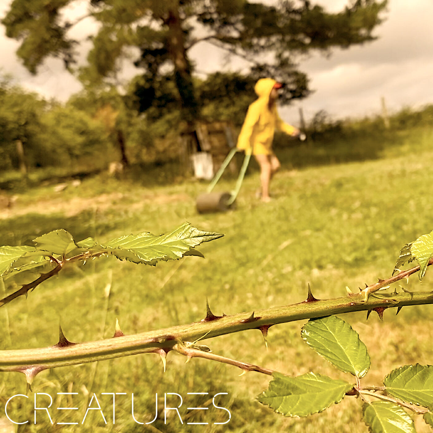 Релиз Creatures