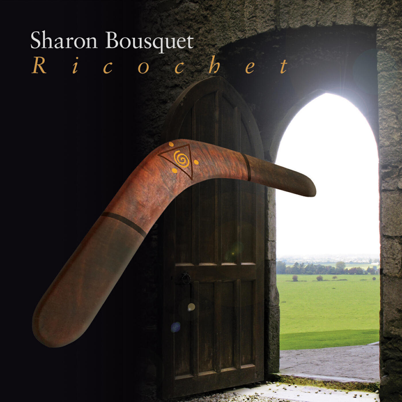 Релиз Ricochet
