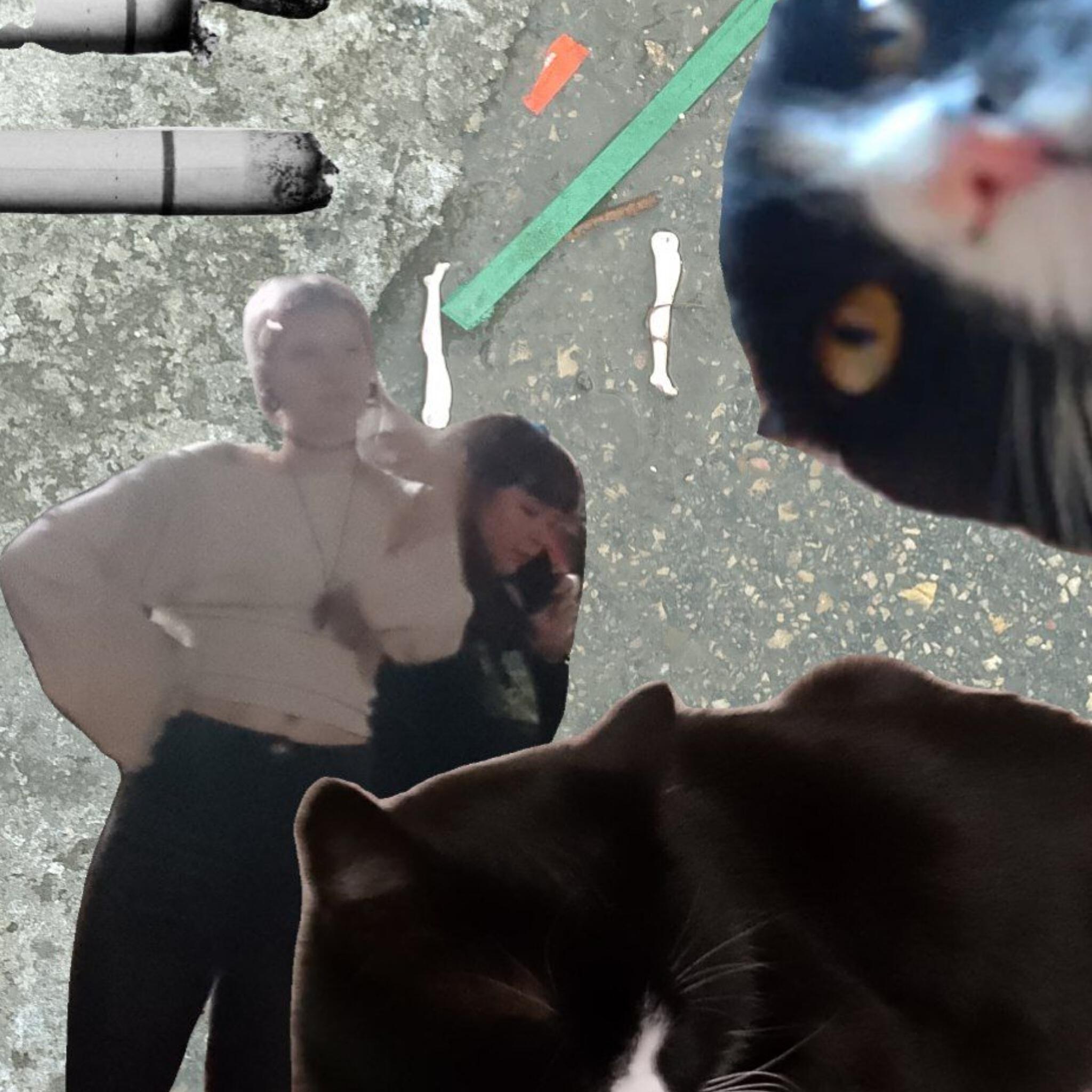 Говнотаз