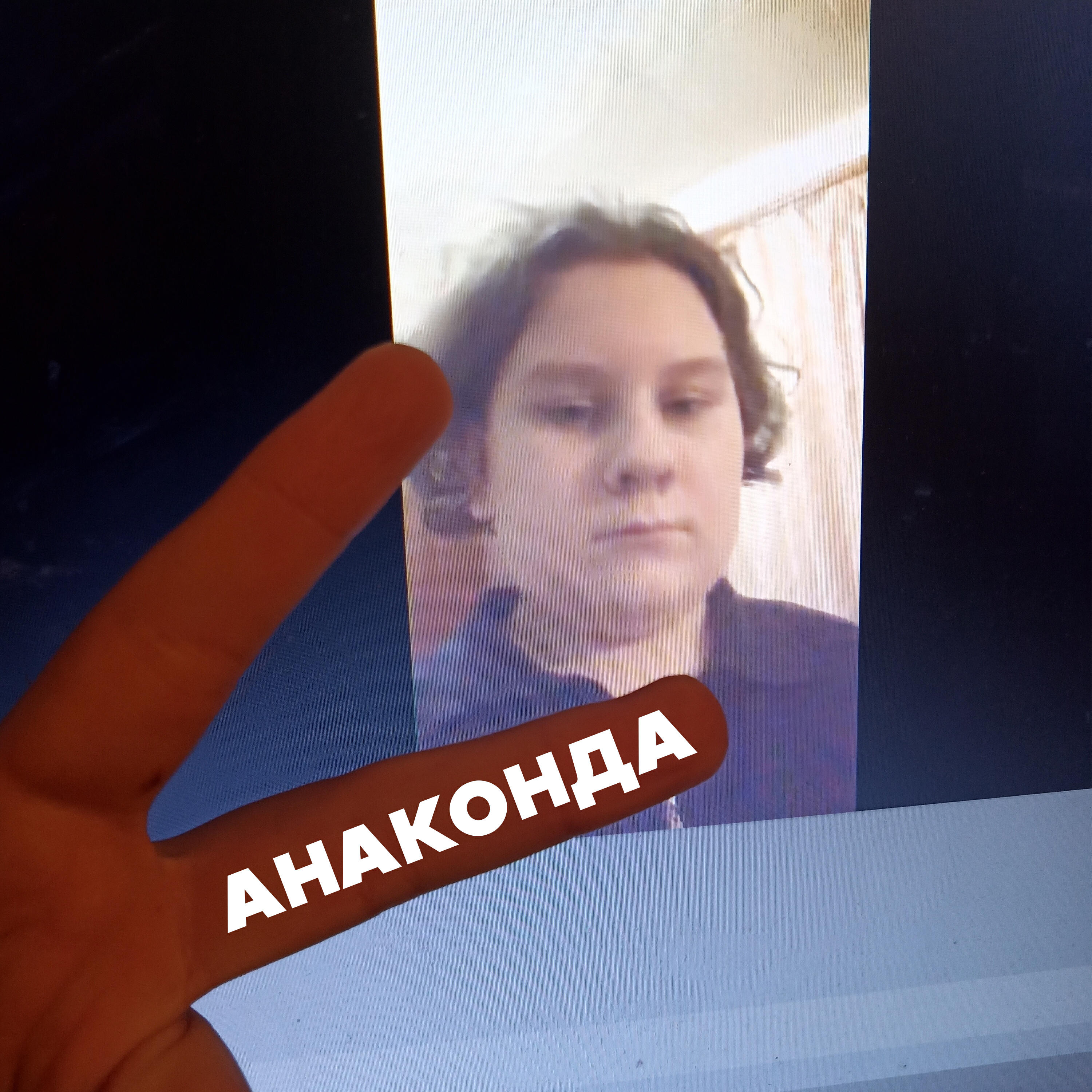 Релиз Анаконда