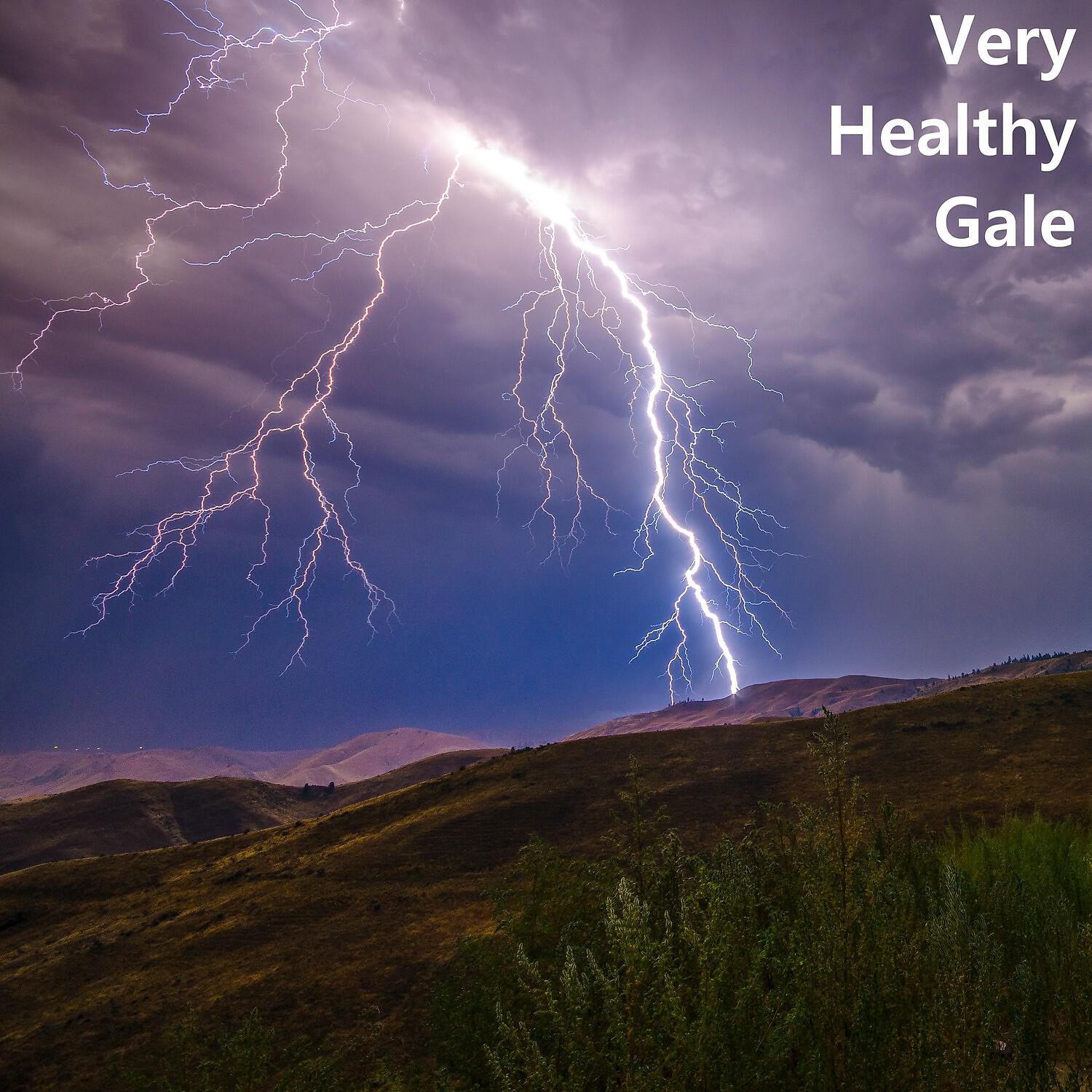 Релиз Very Healthy Gale