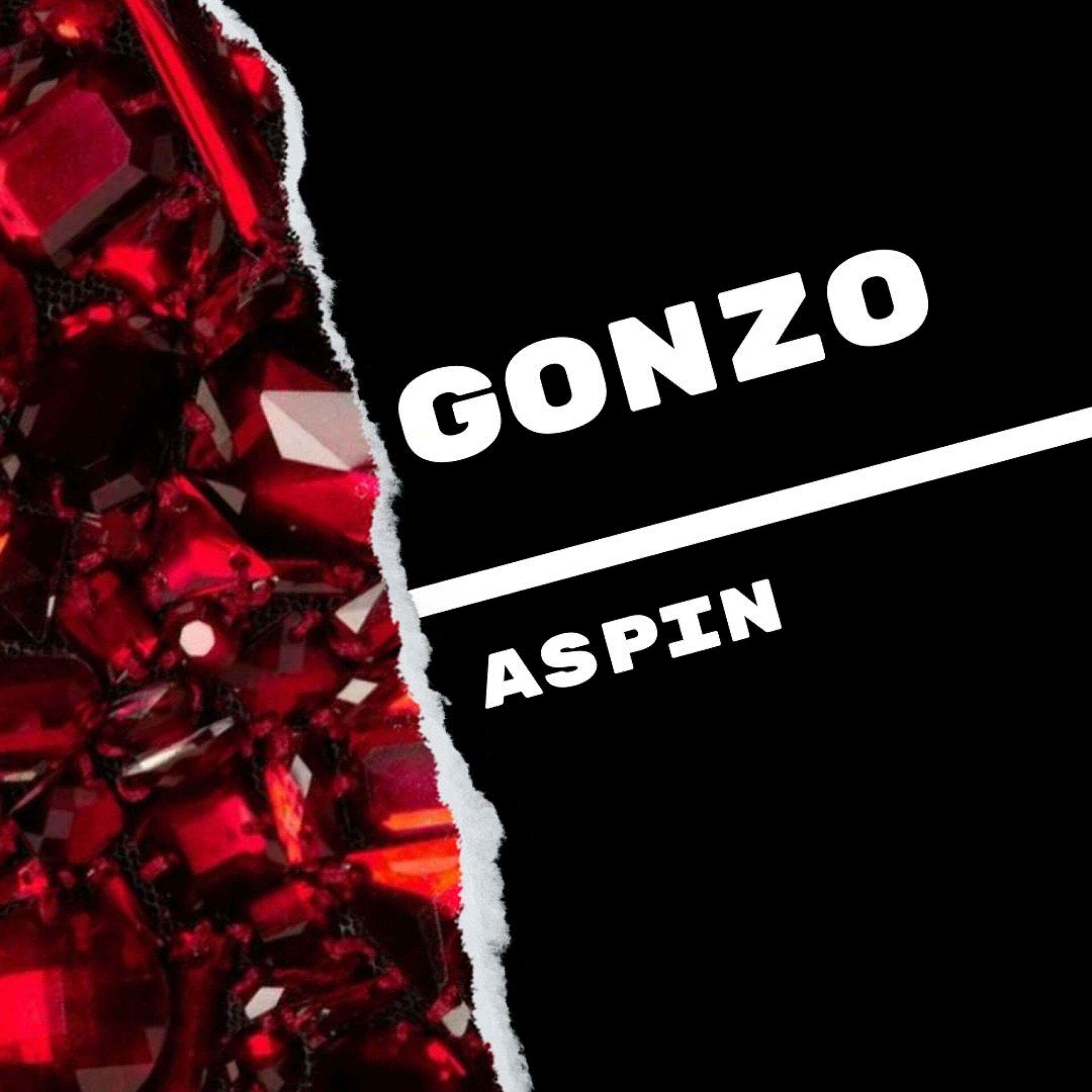 Релиз Gonzo
