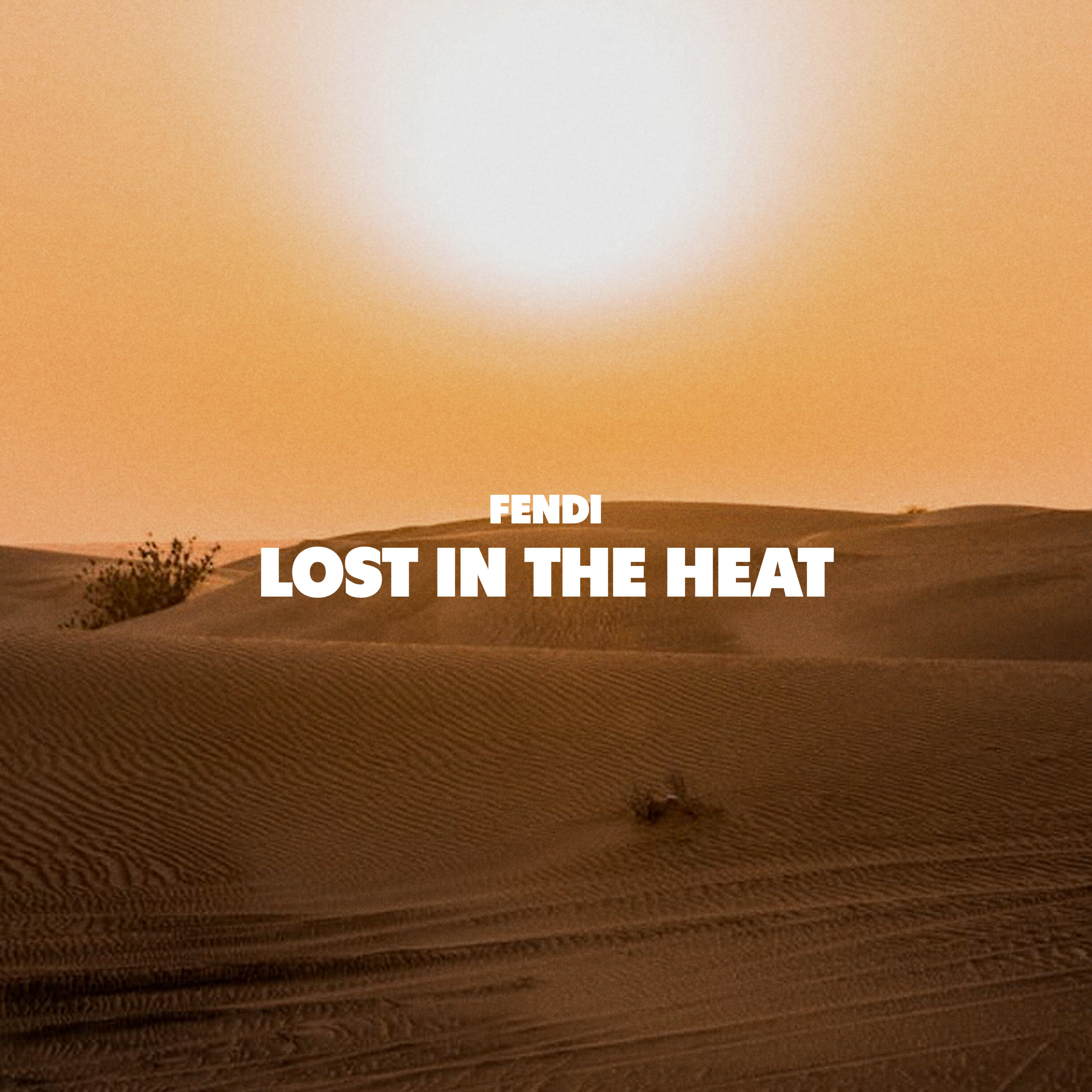 Релиз Lost In The Heat