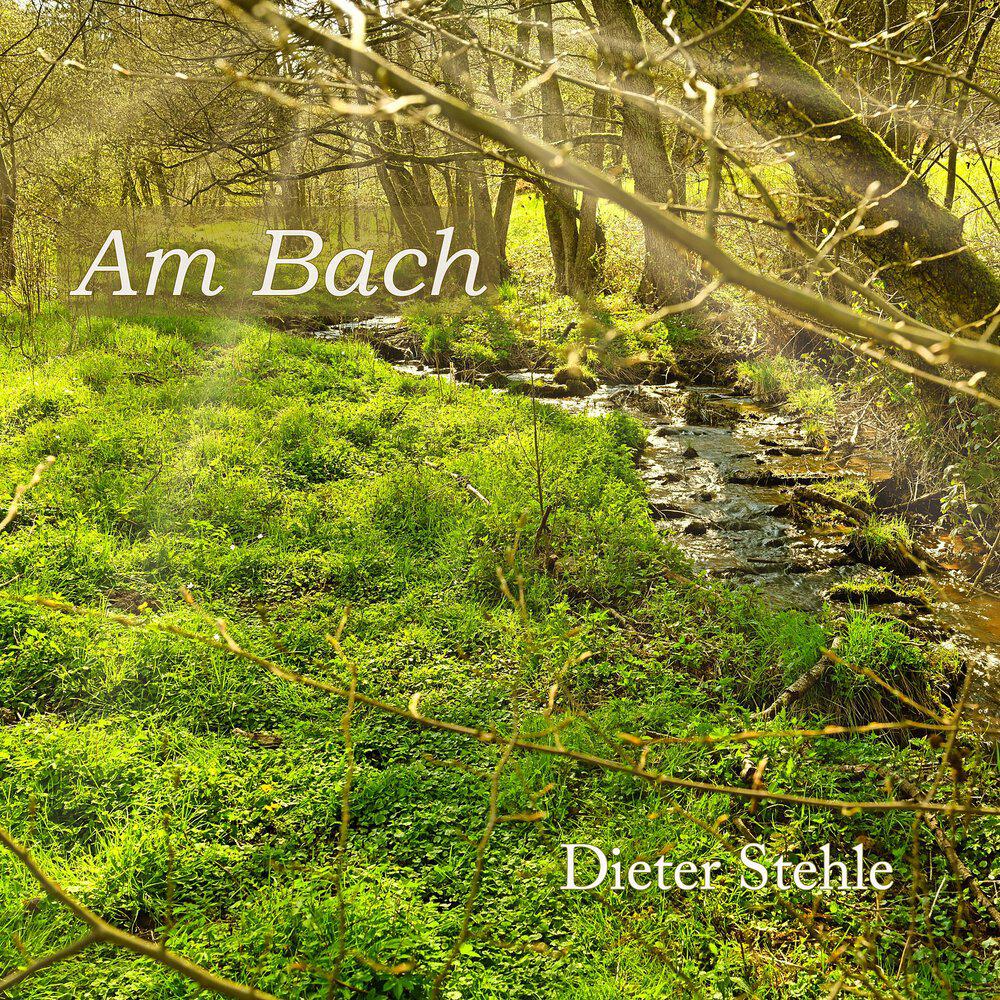 Dieter Stehle