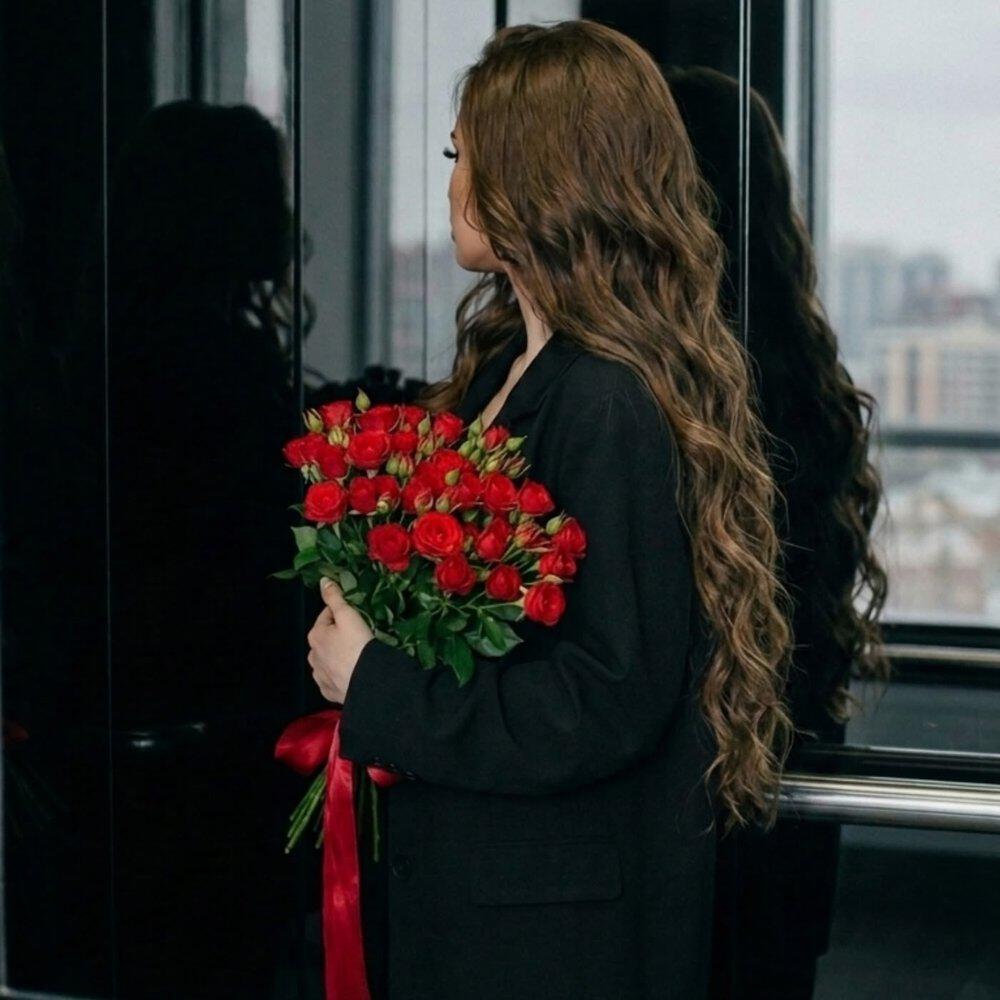 Релиз Холодок