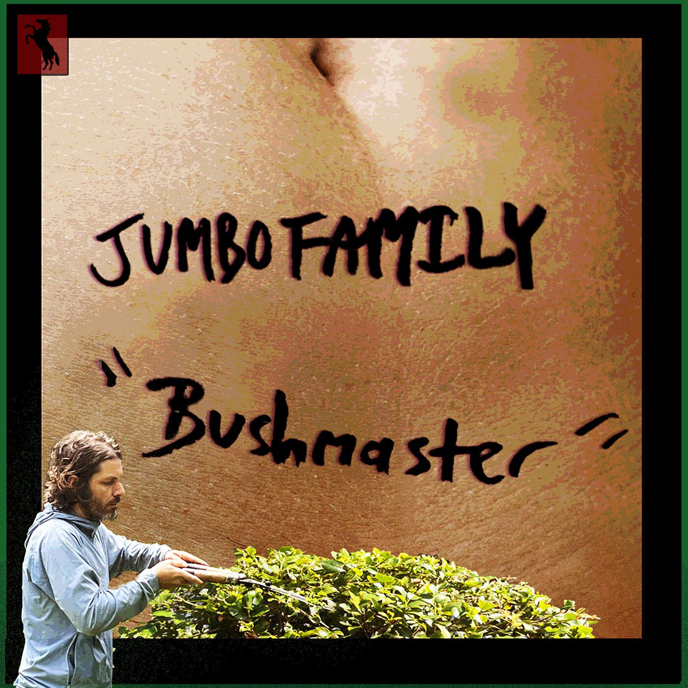 Jumbo Family