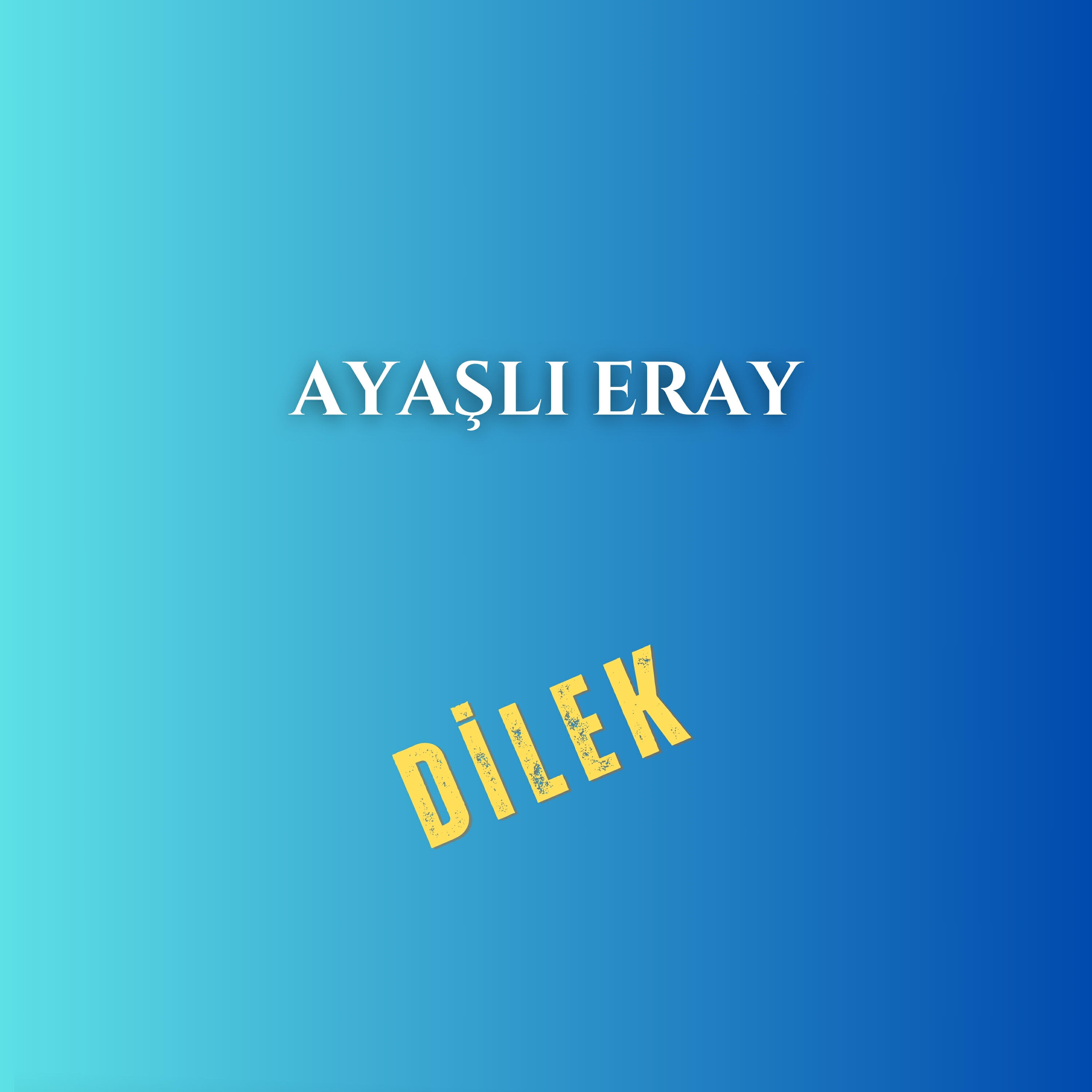 Релиз Dilek