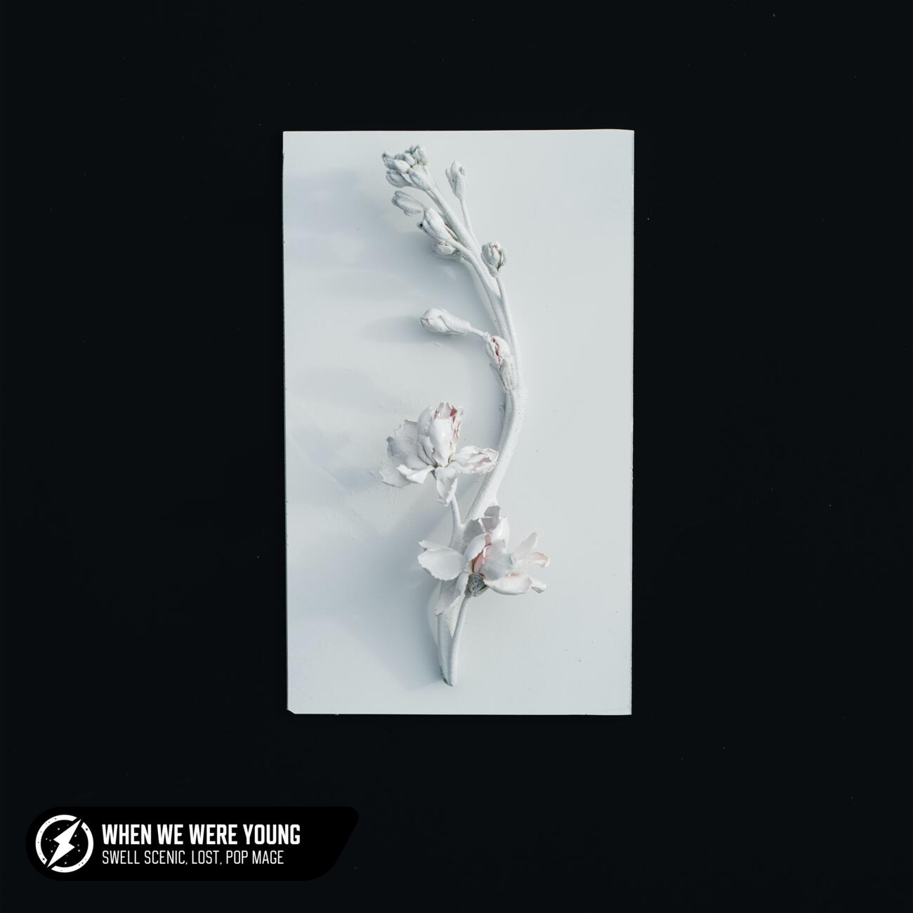 Релиз When We Were Young