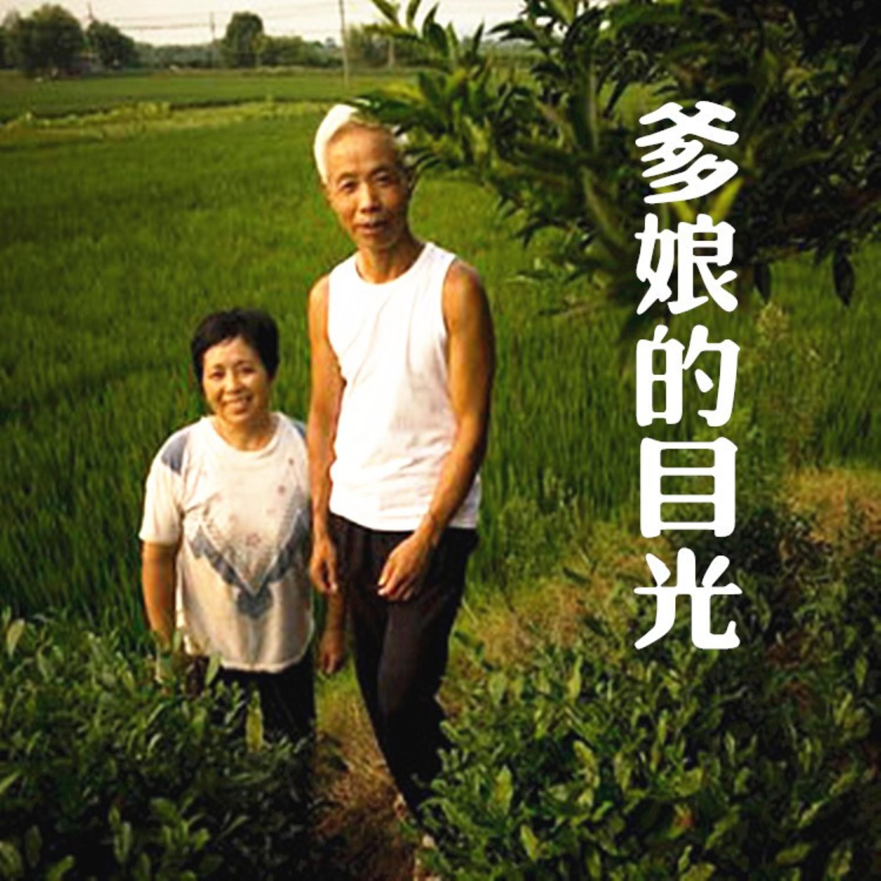 Релиз 爹娘的目光
