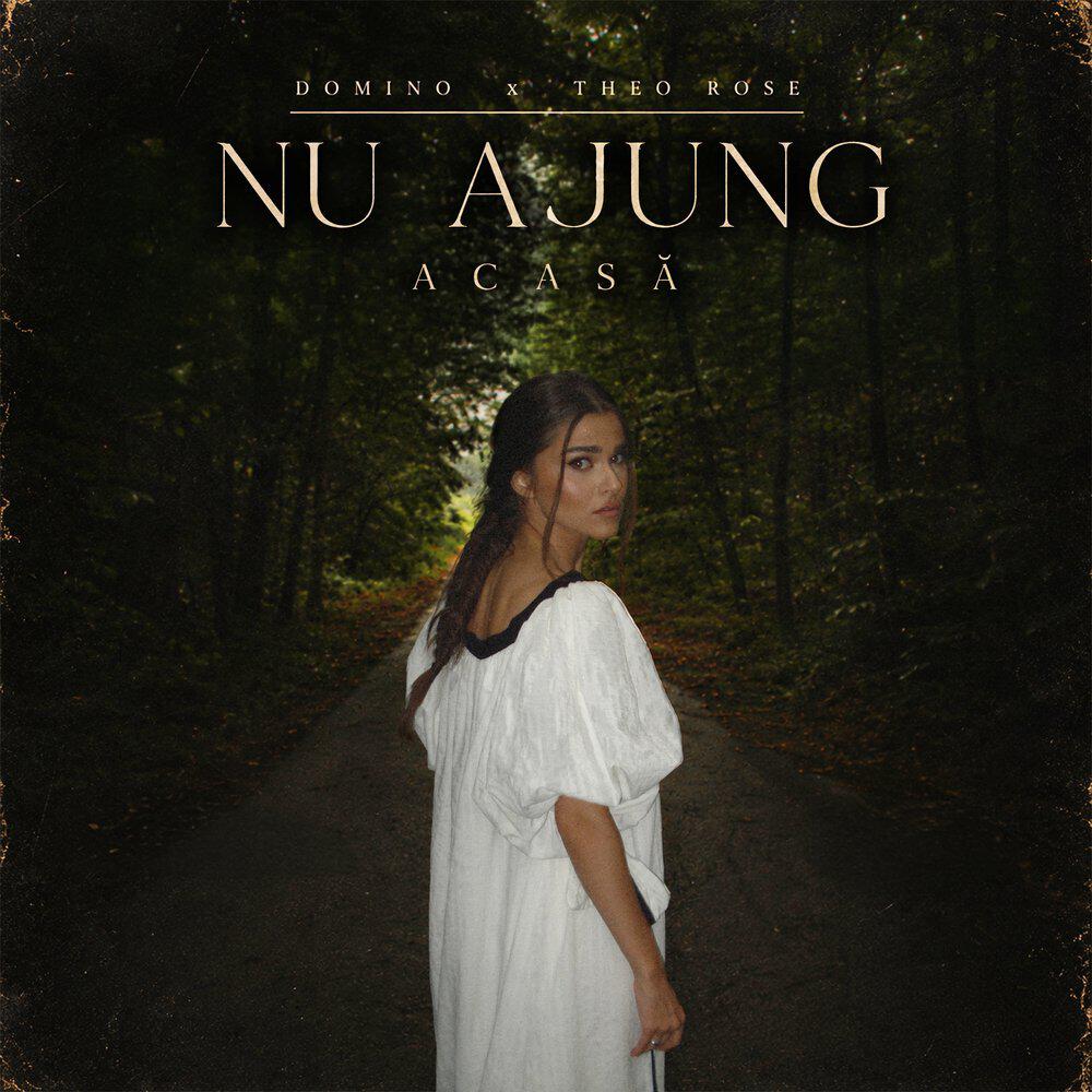 Релиз Nu ajung acasă