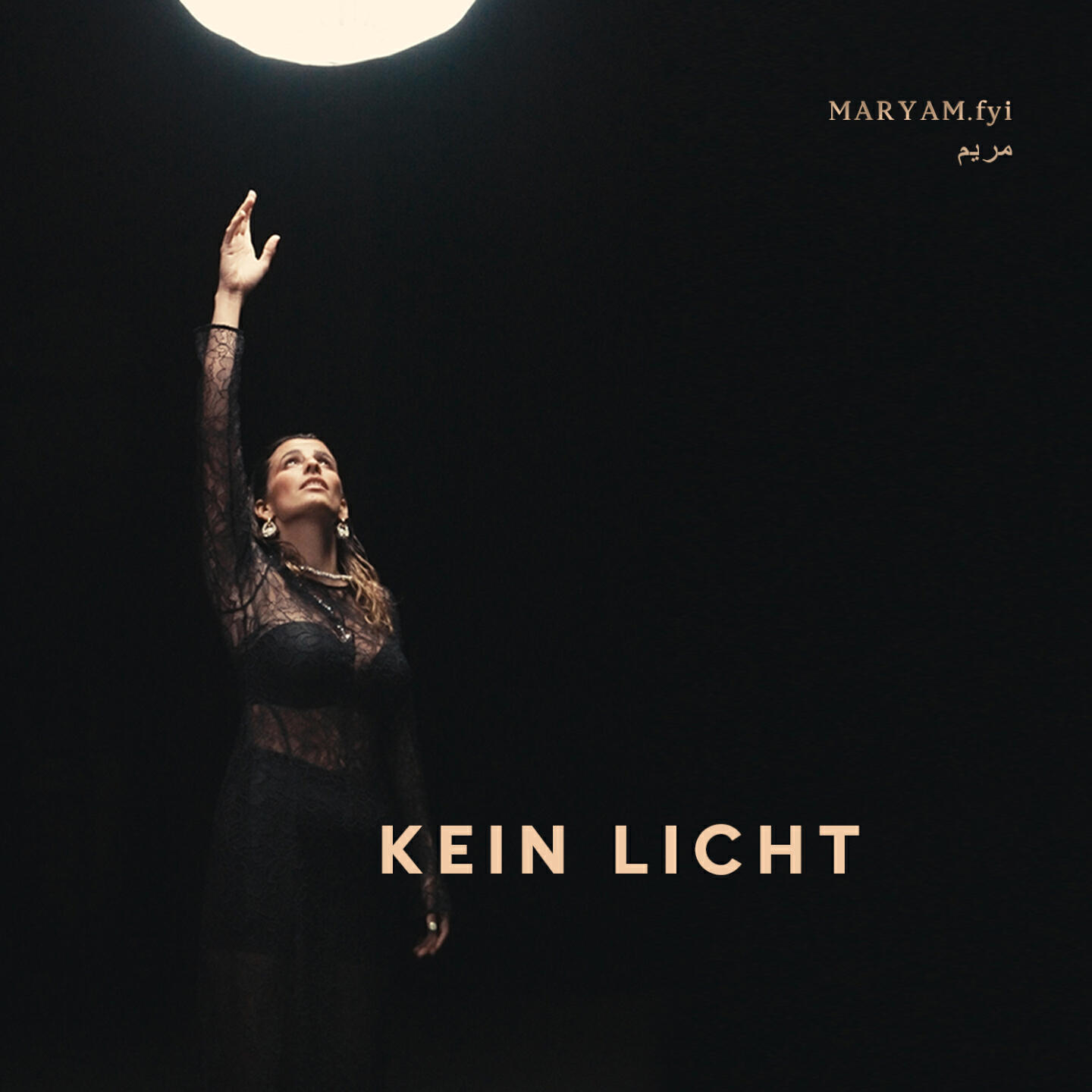 Релиз Kein Licht