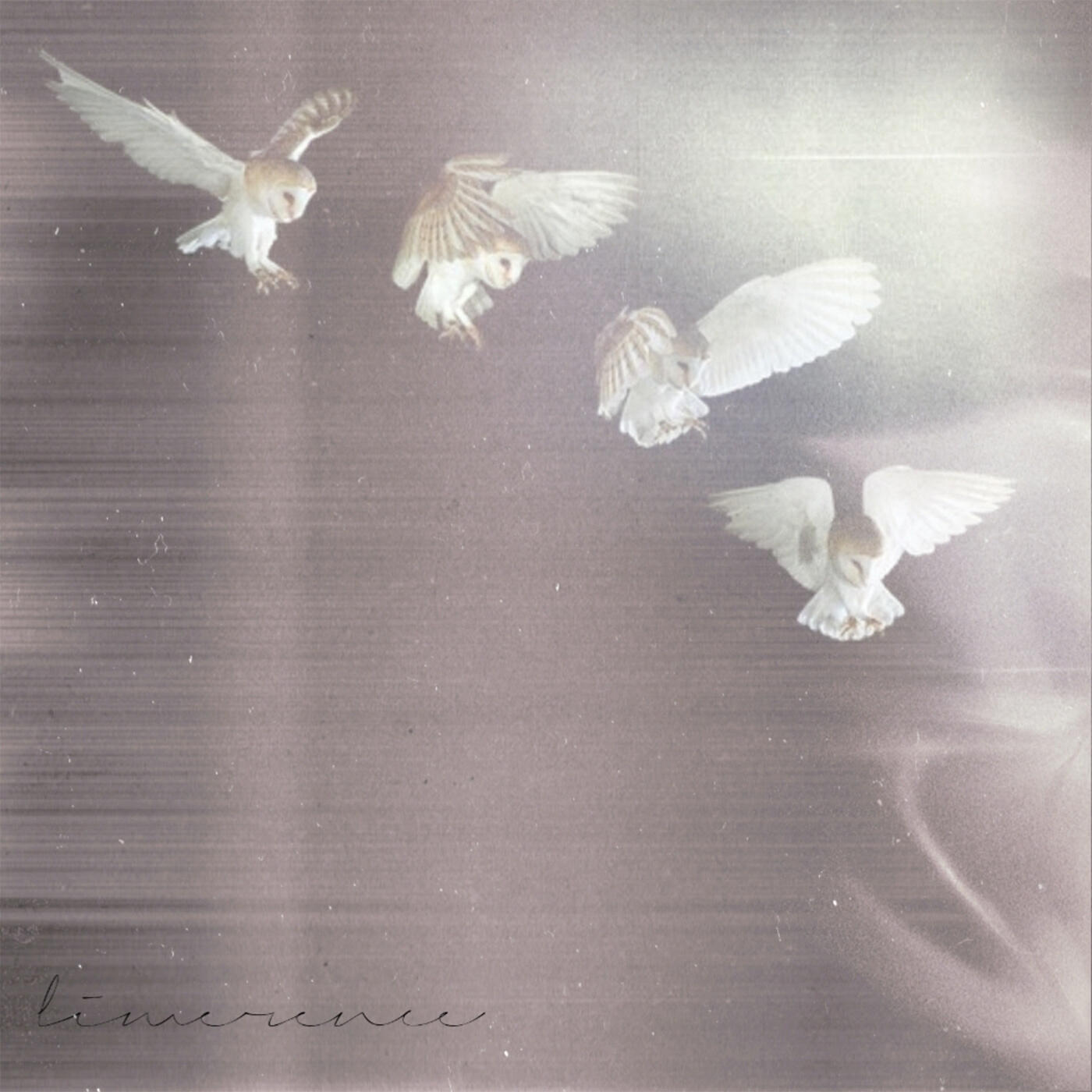 Релиз limerence