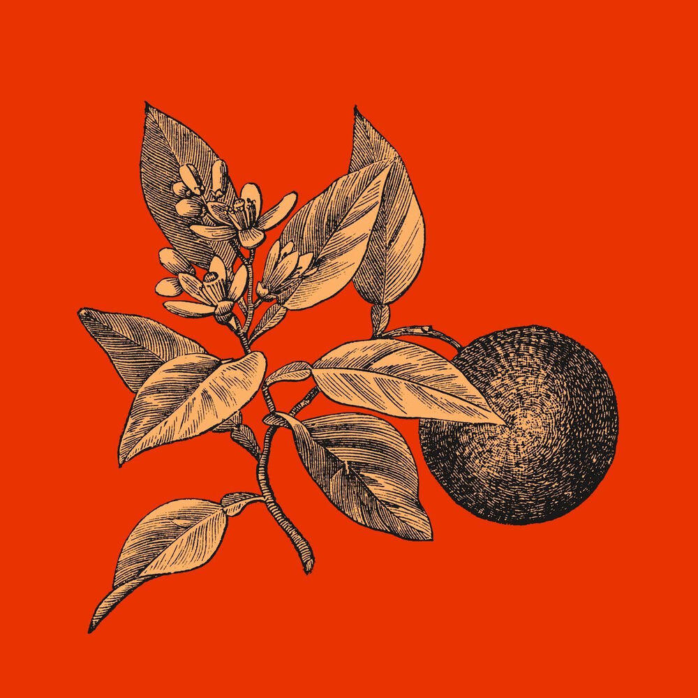 Релиз Mineral King