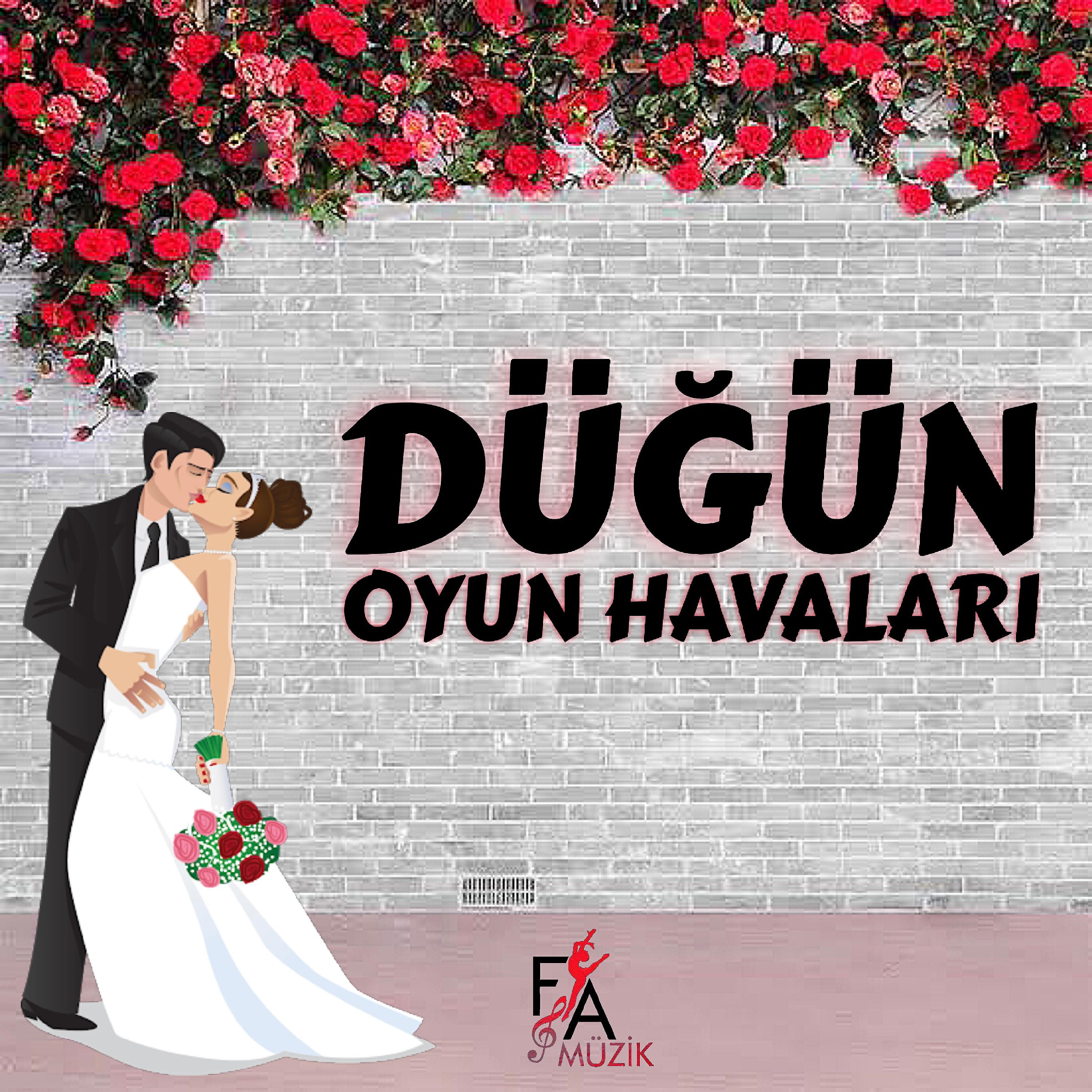 Релиз Düğün Oyun Havaları Vol.1
