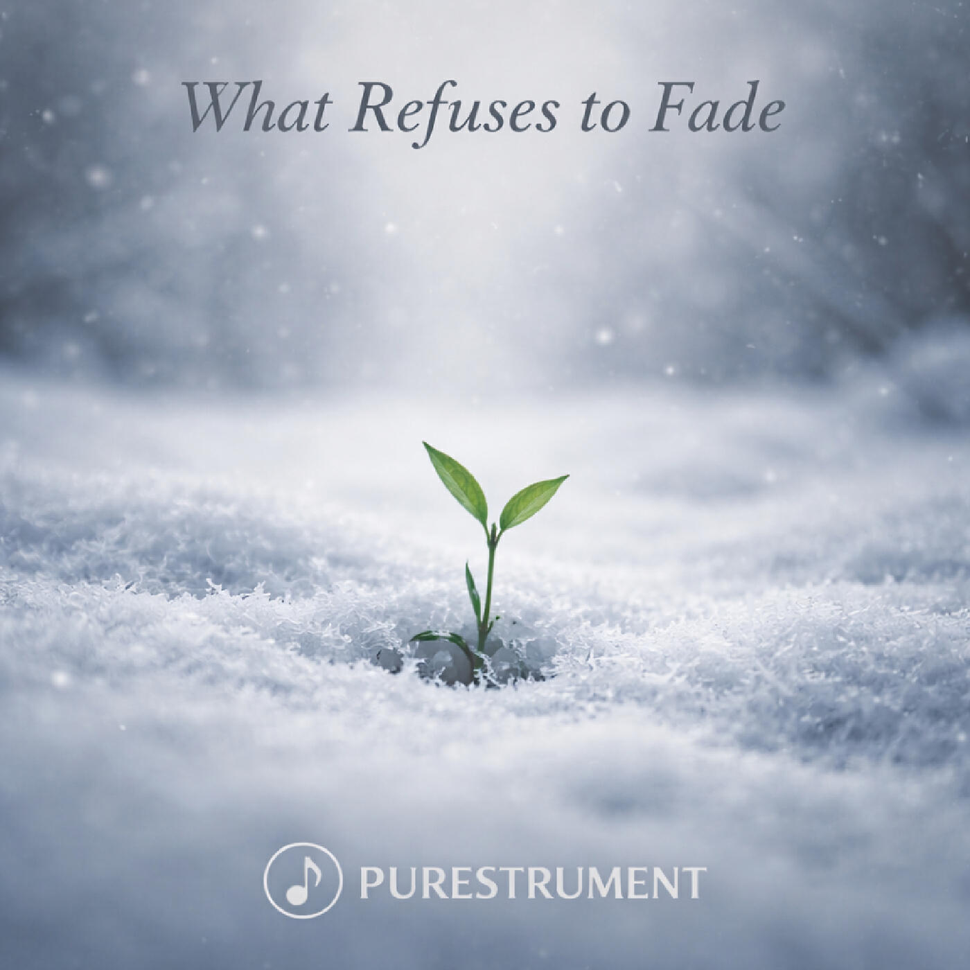 Релиз What Refuses to Fade