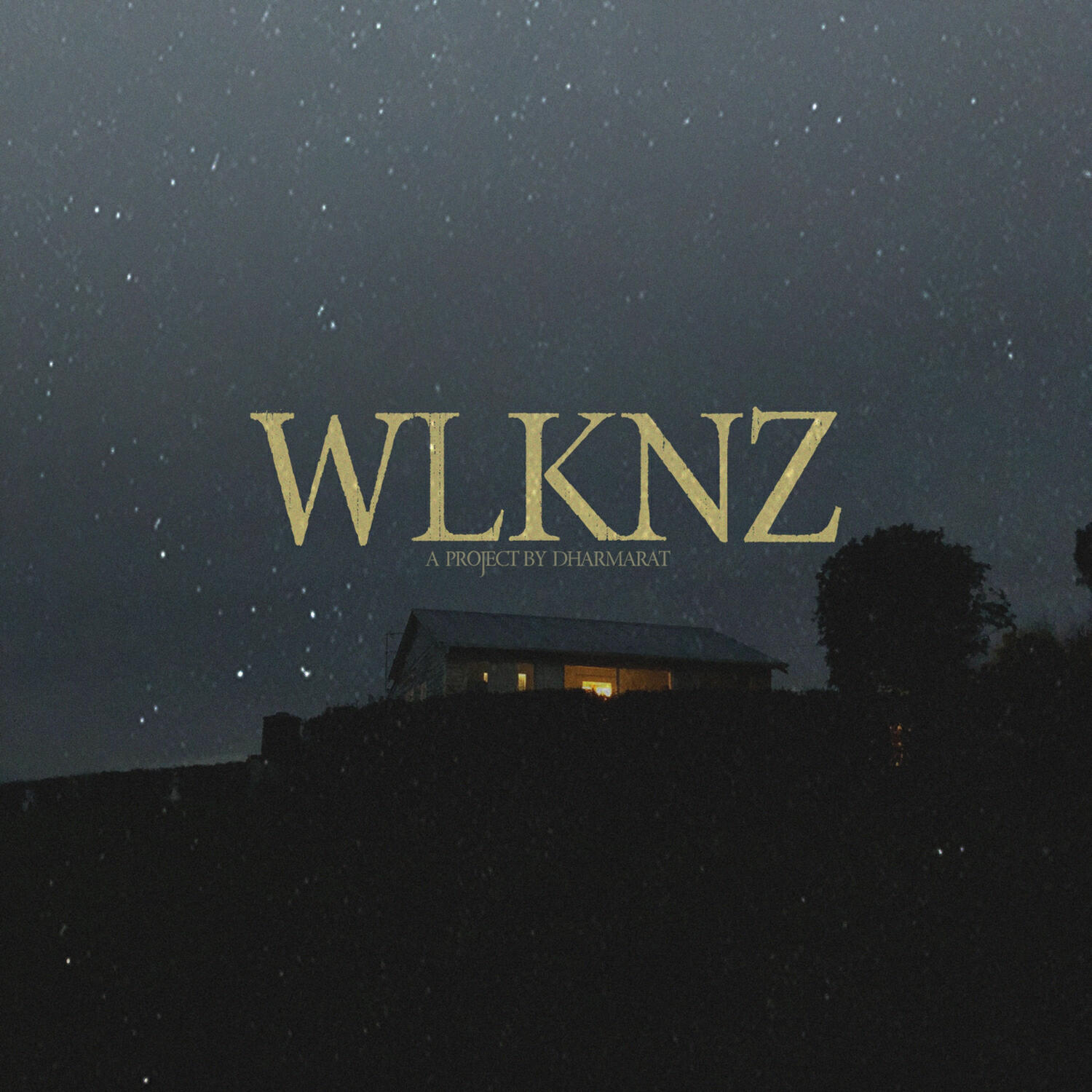 Релиз WLKNZ