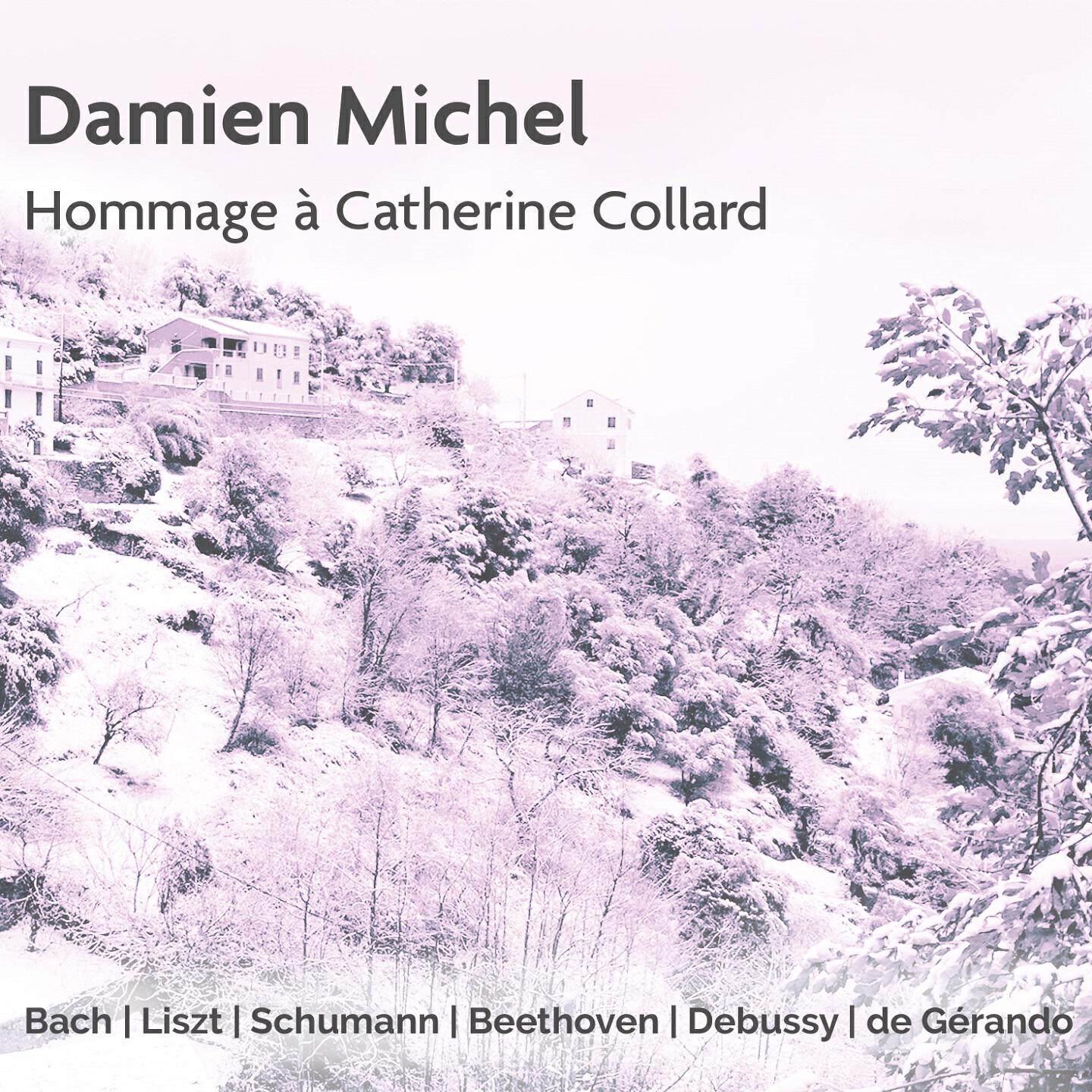 Damien Michel