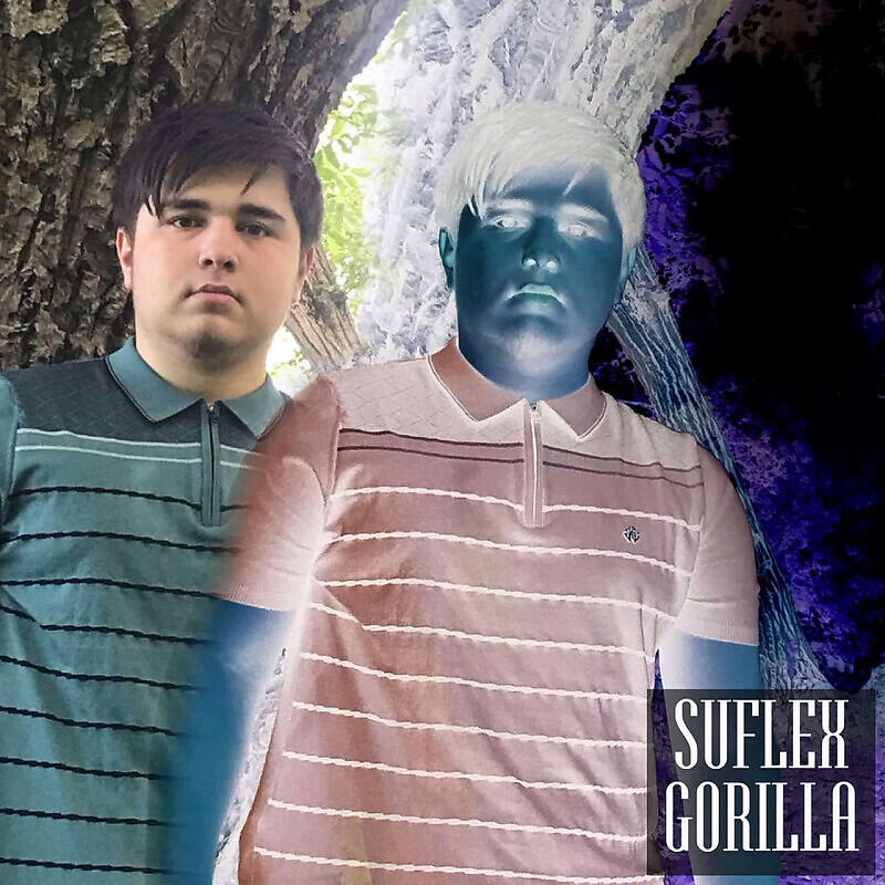 Релиз GORILLA