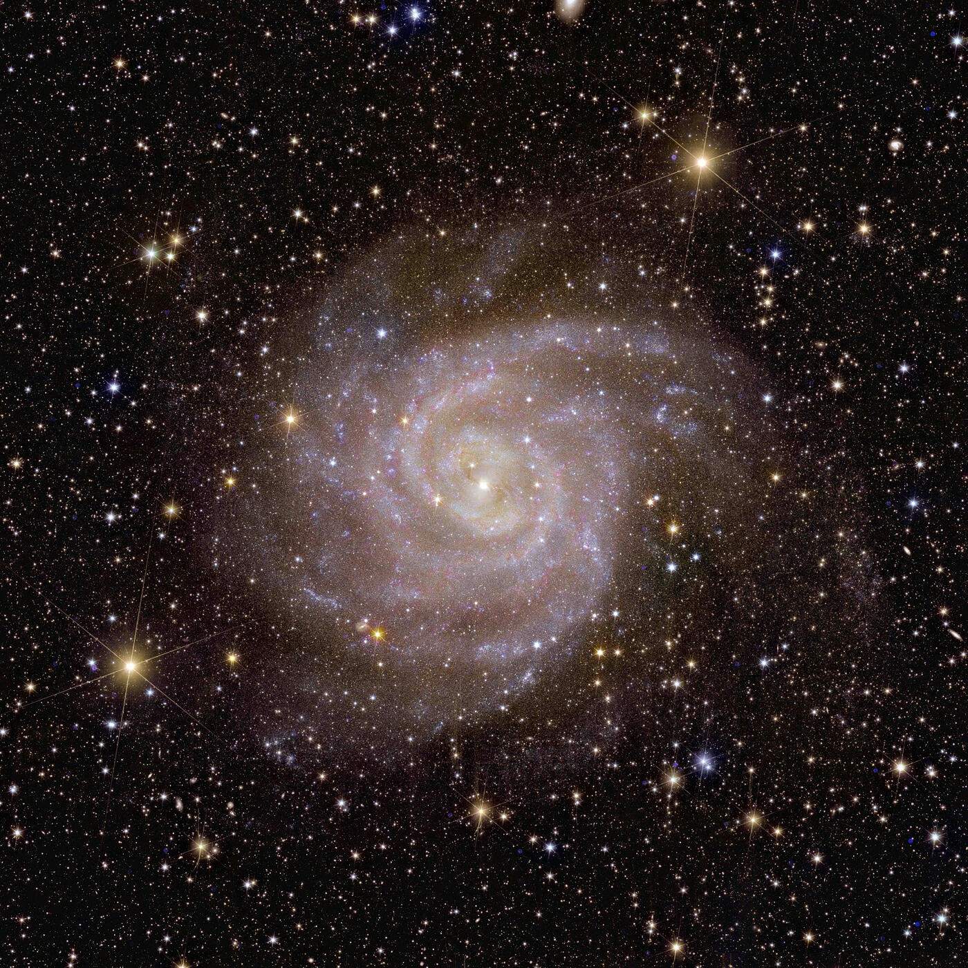 Релиз Galaxie