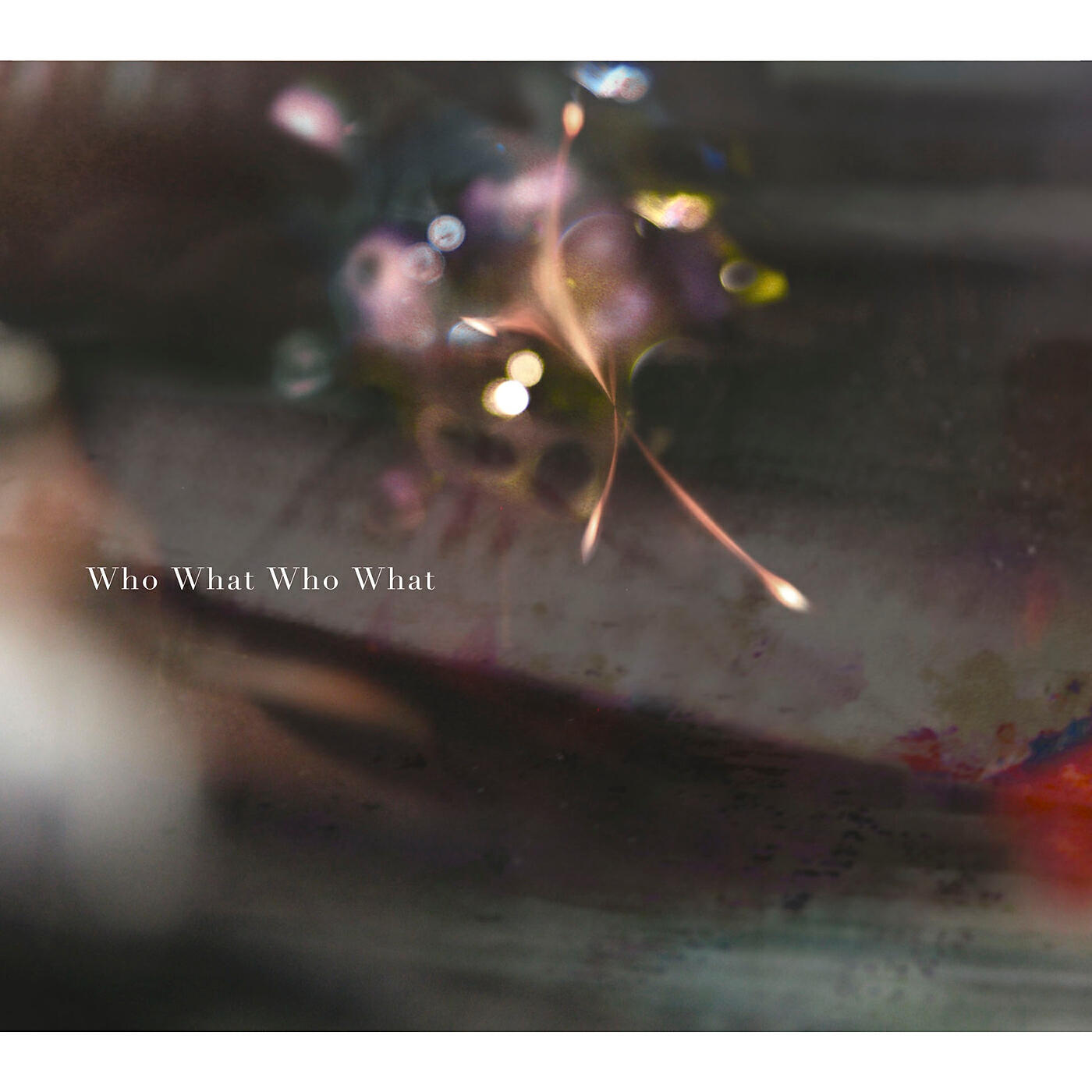 Постер альбома Who What Who What