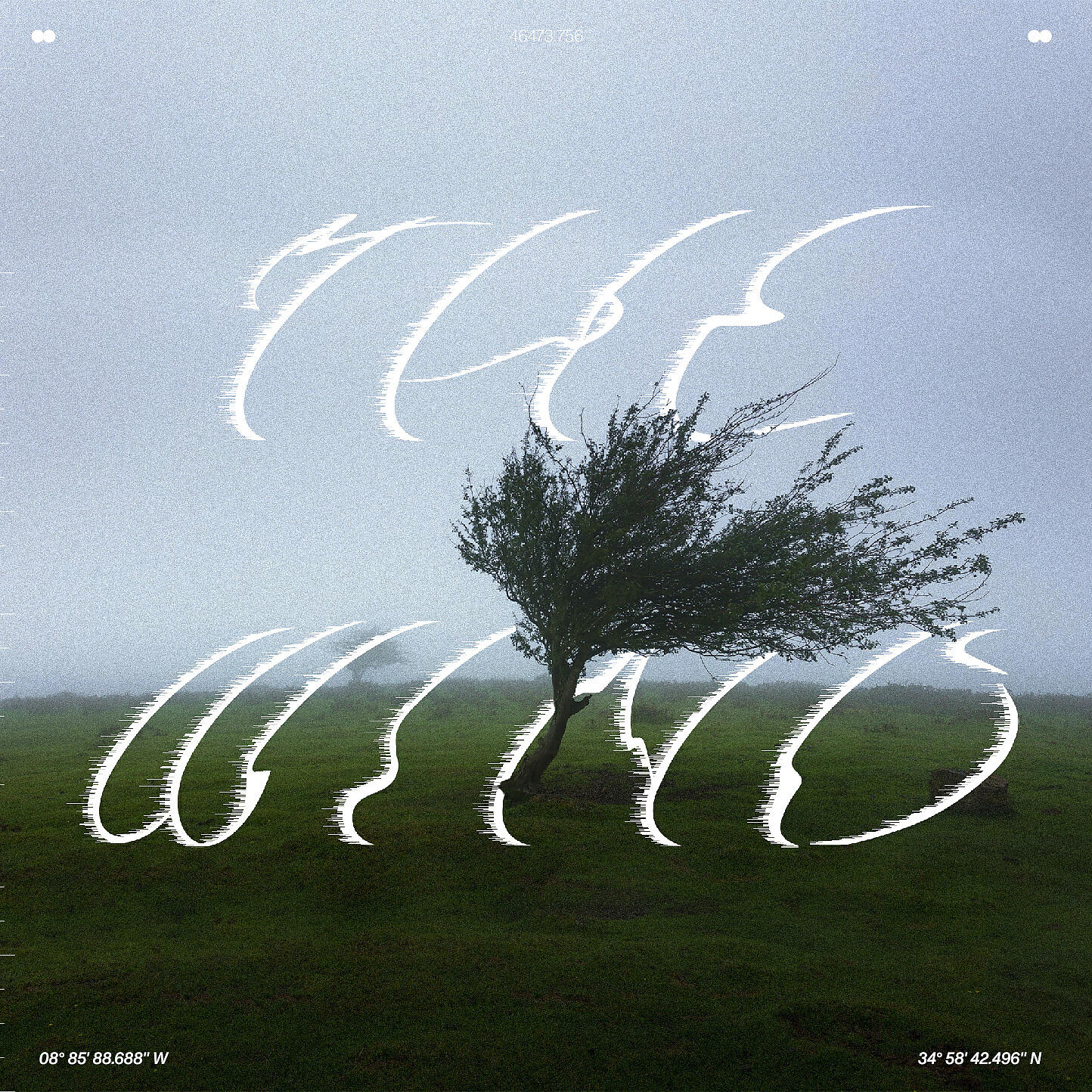 Релиз The Wind