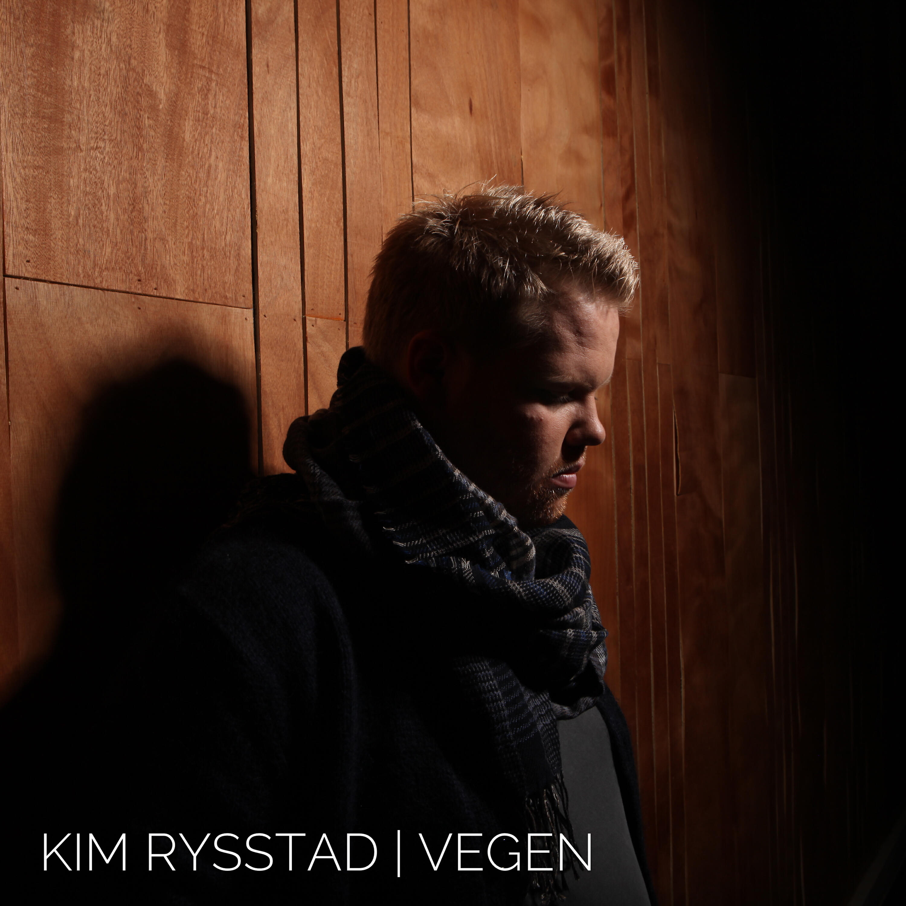 Релиз Vegen