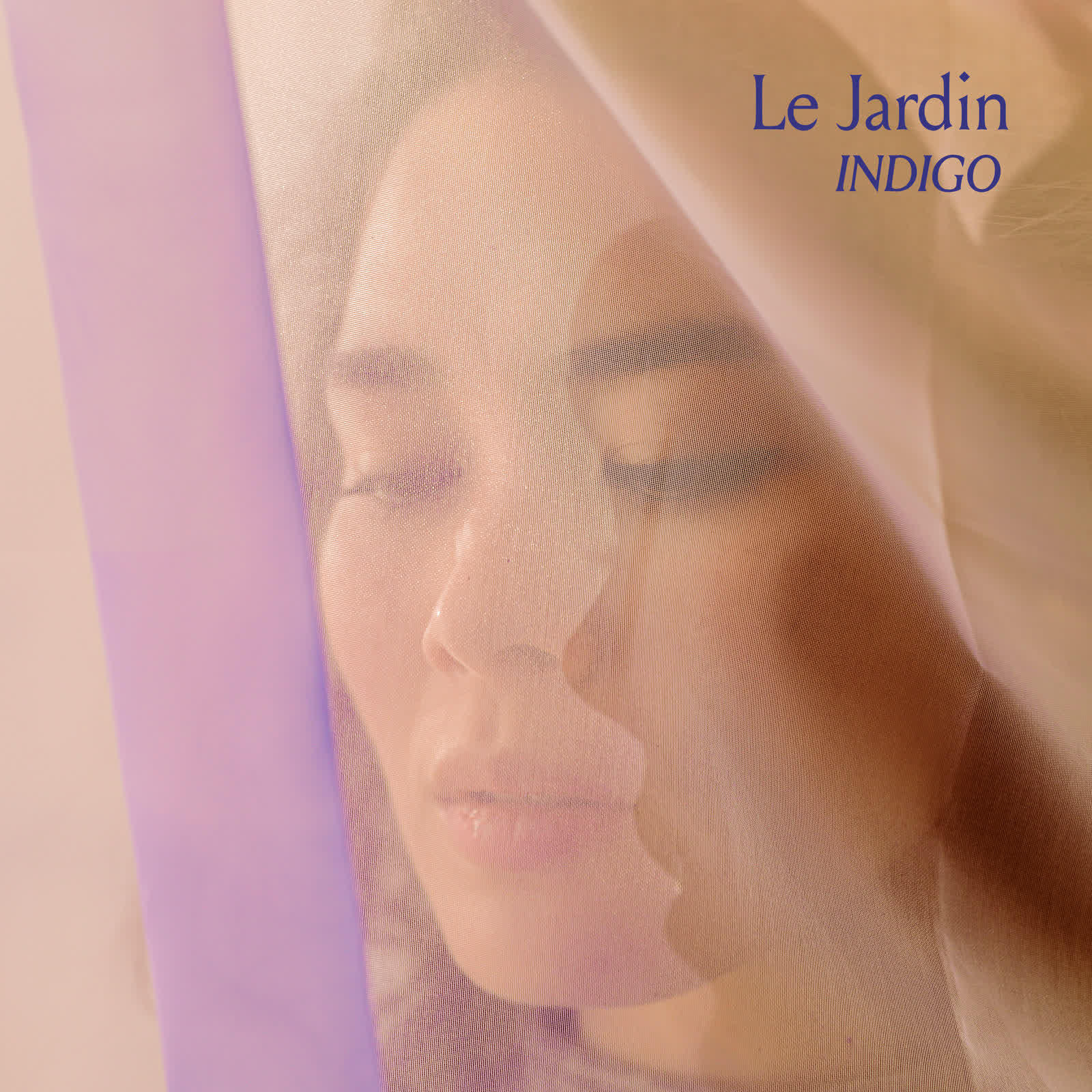 Релиз Indigo