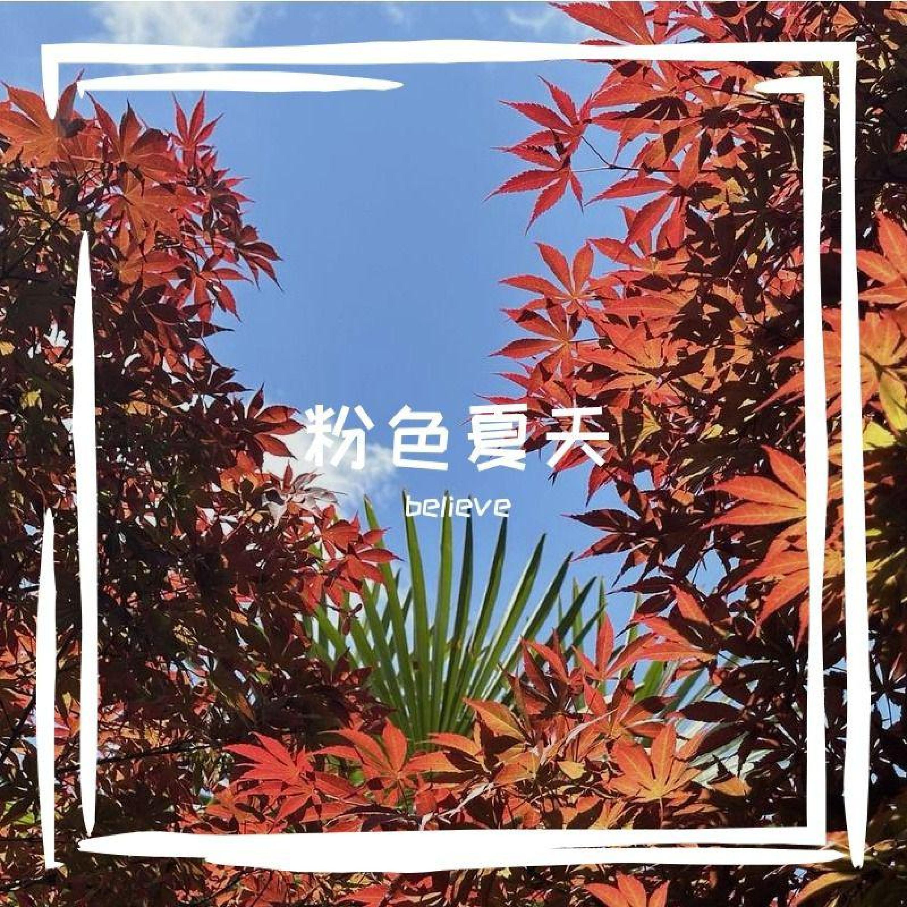 Релиз 粉色夏天
