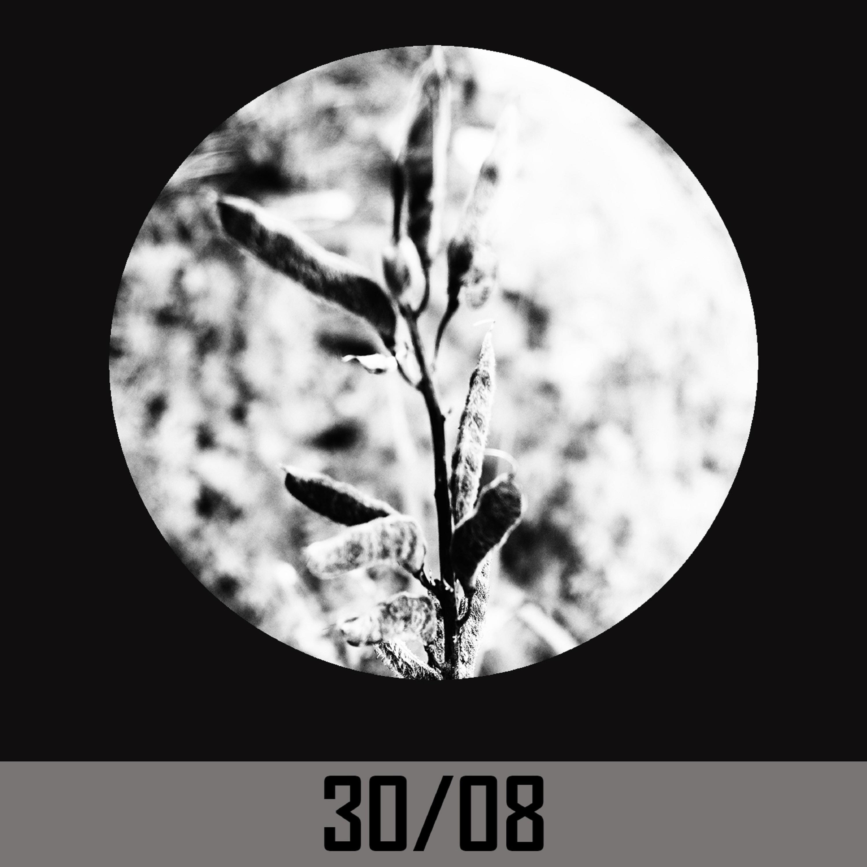 Релиз 30/08