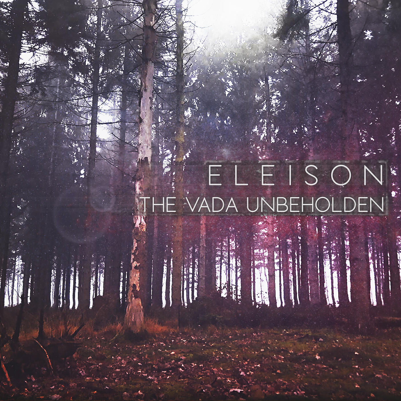 Eleison